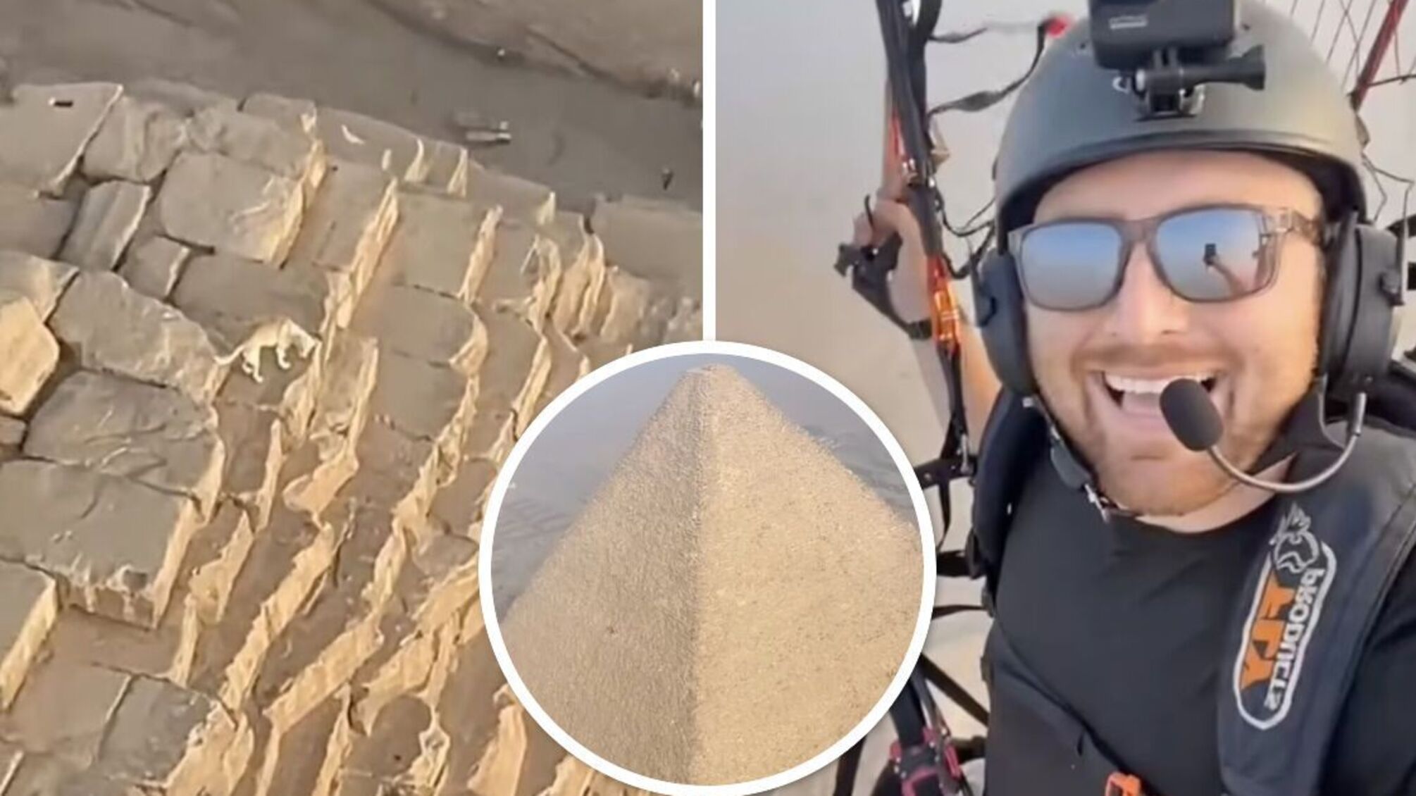 Собака бродила на пирамиде Гизы, пока парапланерист ее снимал