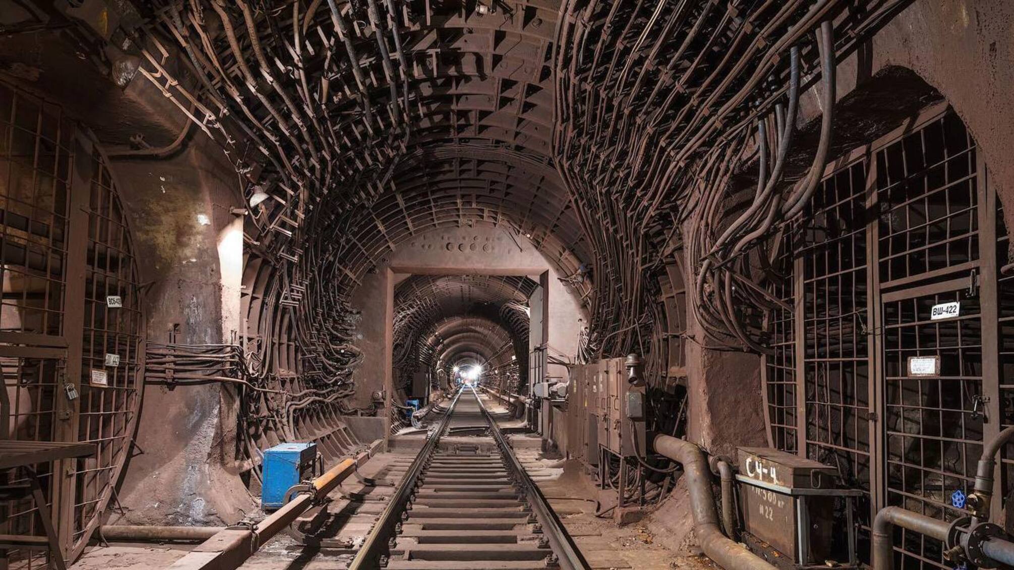 Виноградарь