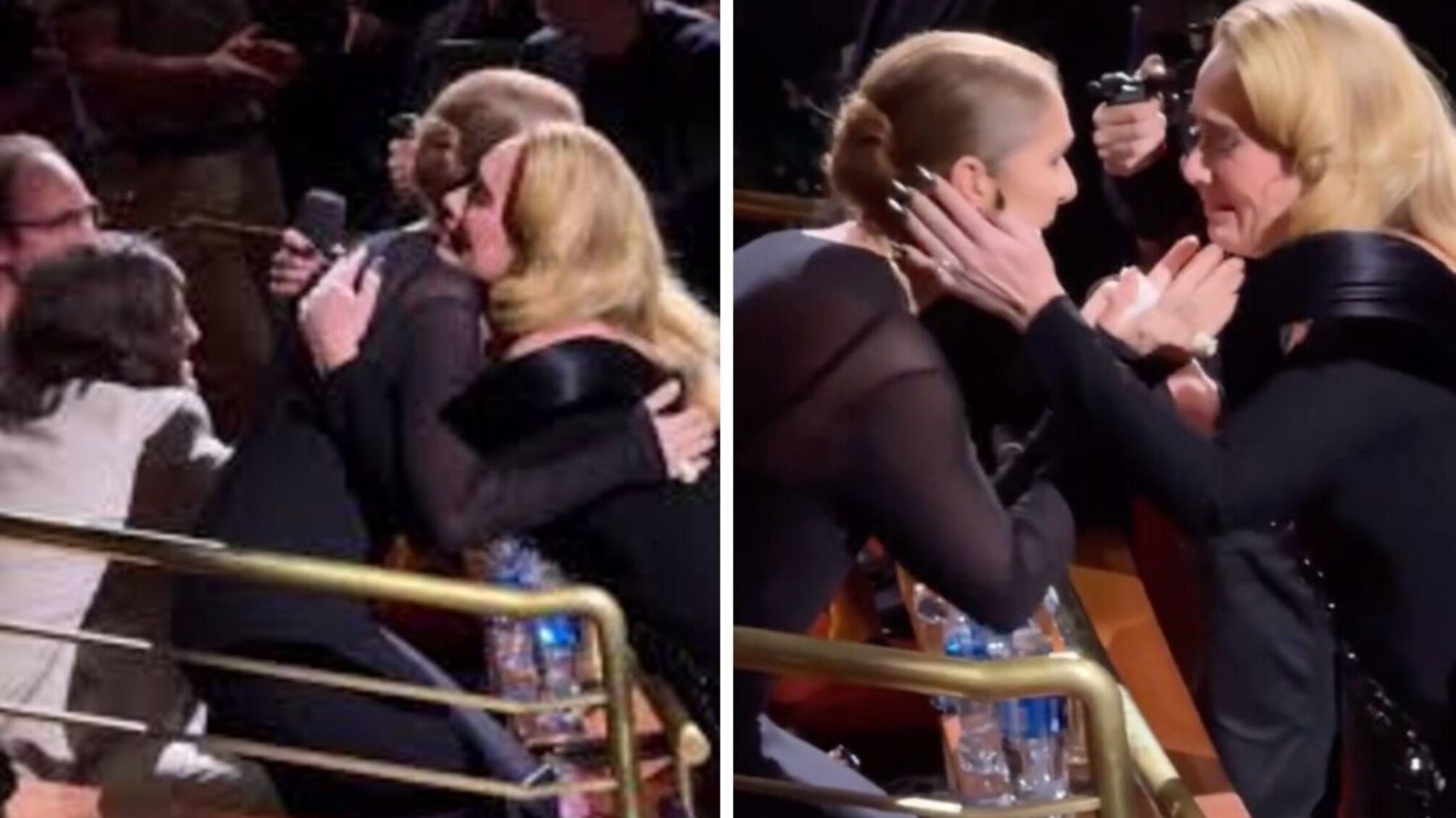 Звезды вместе: Селин Дион посетила Адель на концерте