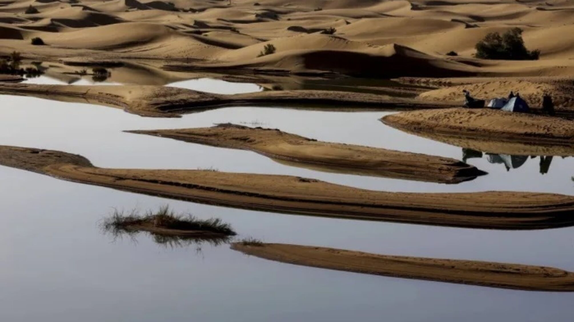 Небесный дар: редкие дожди меняют ландшафт Мерзуги