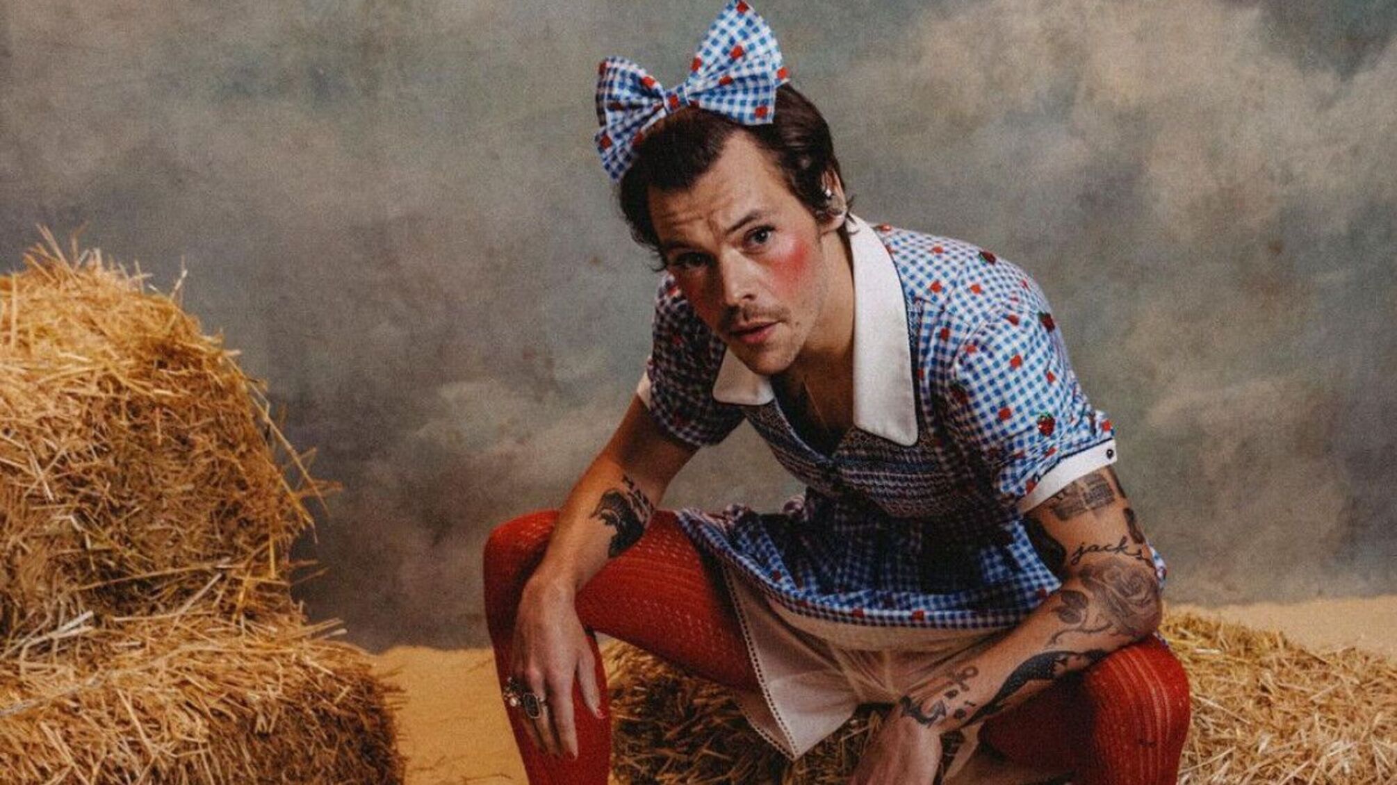 Гаррі Стайлз в образі Дороті із «Чарівник країни Оз»