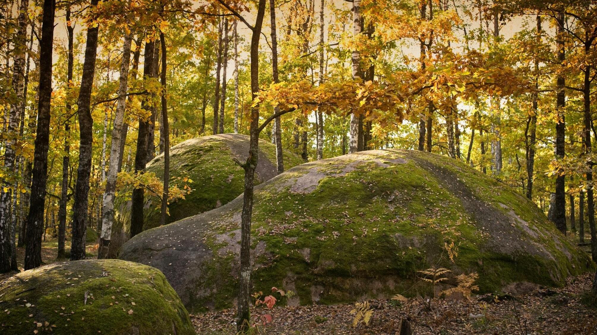 Унікальне Камінне село на Житомирщині
