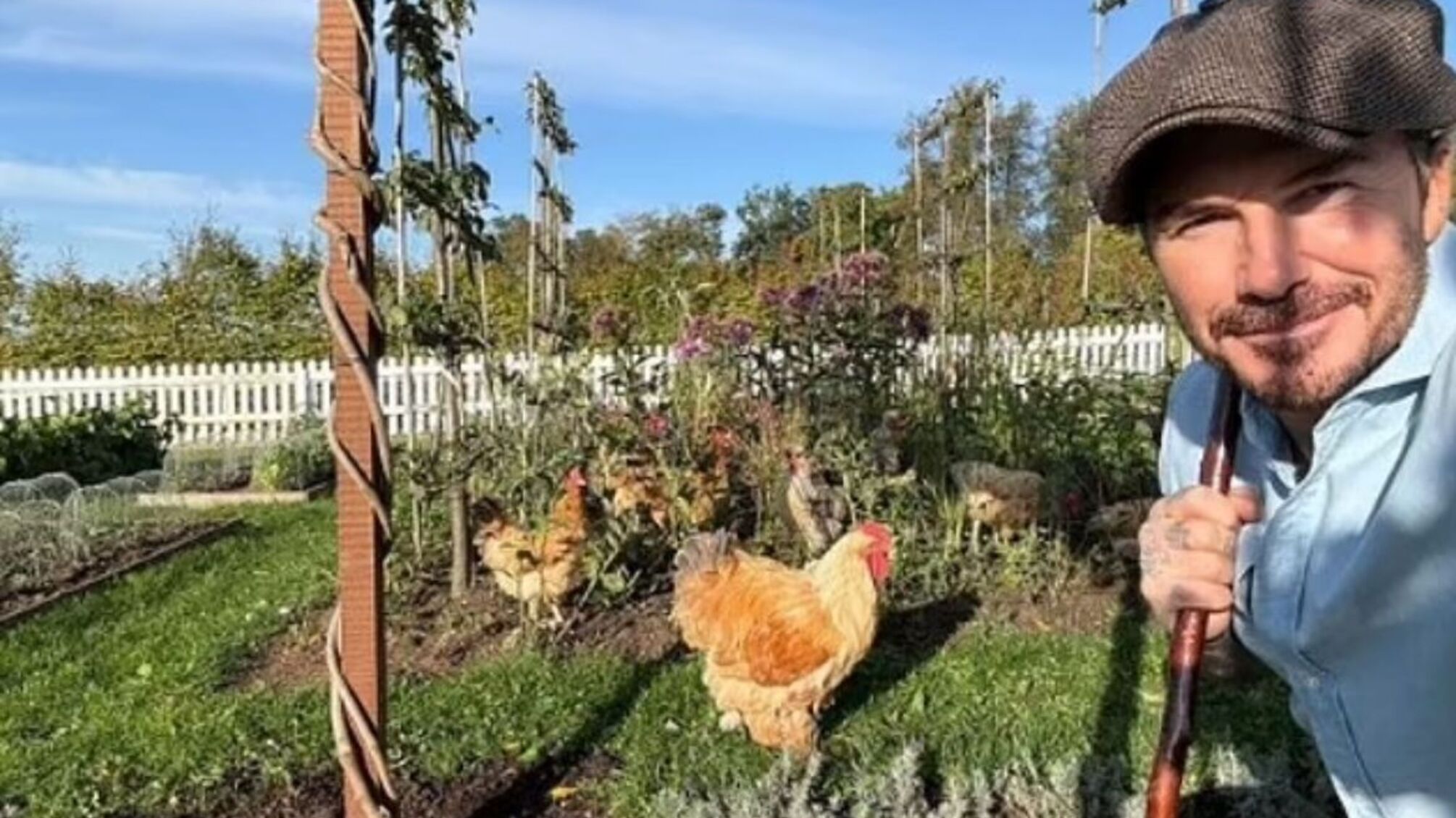 Семейная идиллия Дэвида Бекхэма: как экс-футболист наслаждается фермерской жизнью