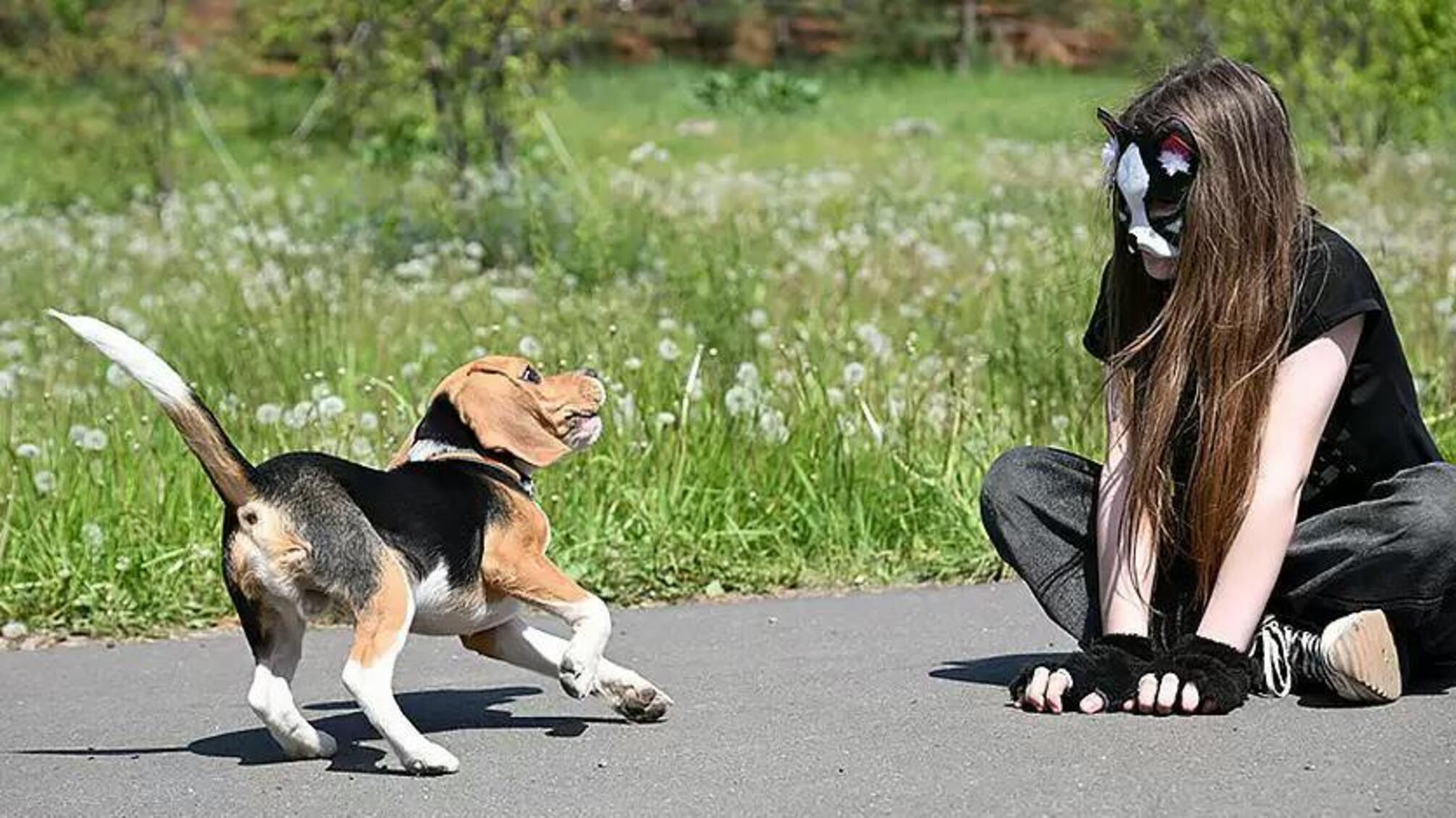 Квадробери