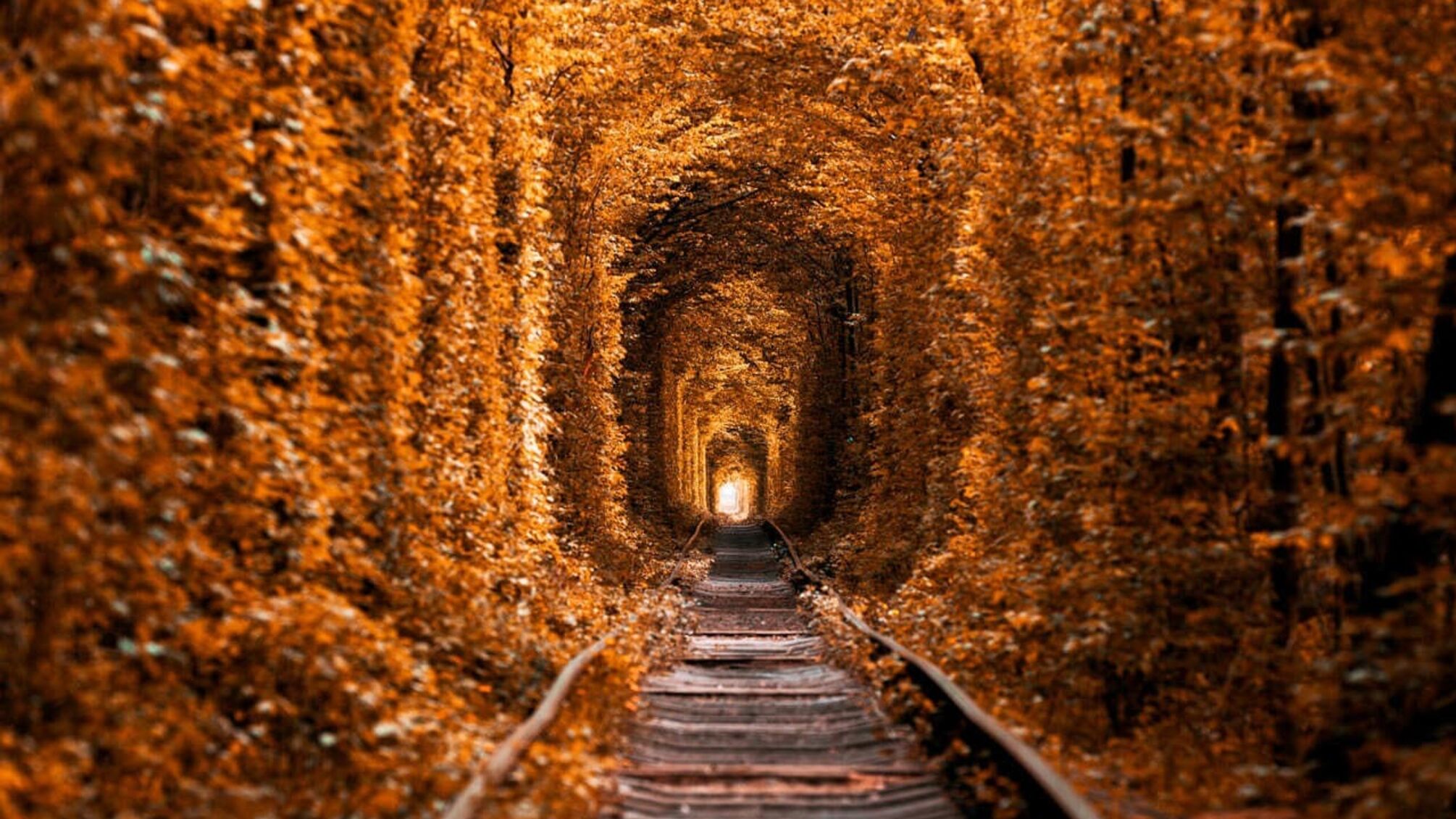 Тунель кохання у Клевані