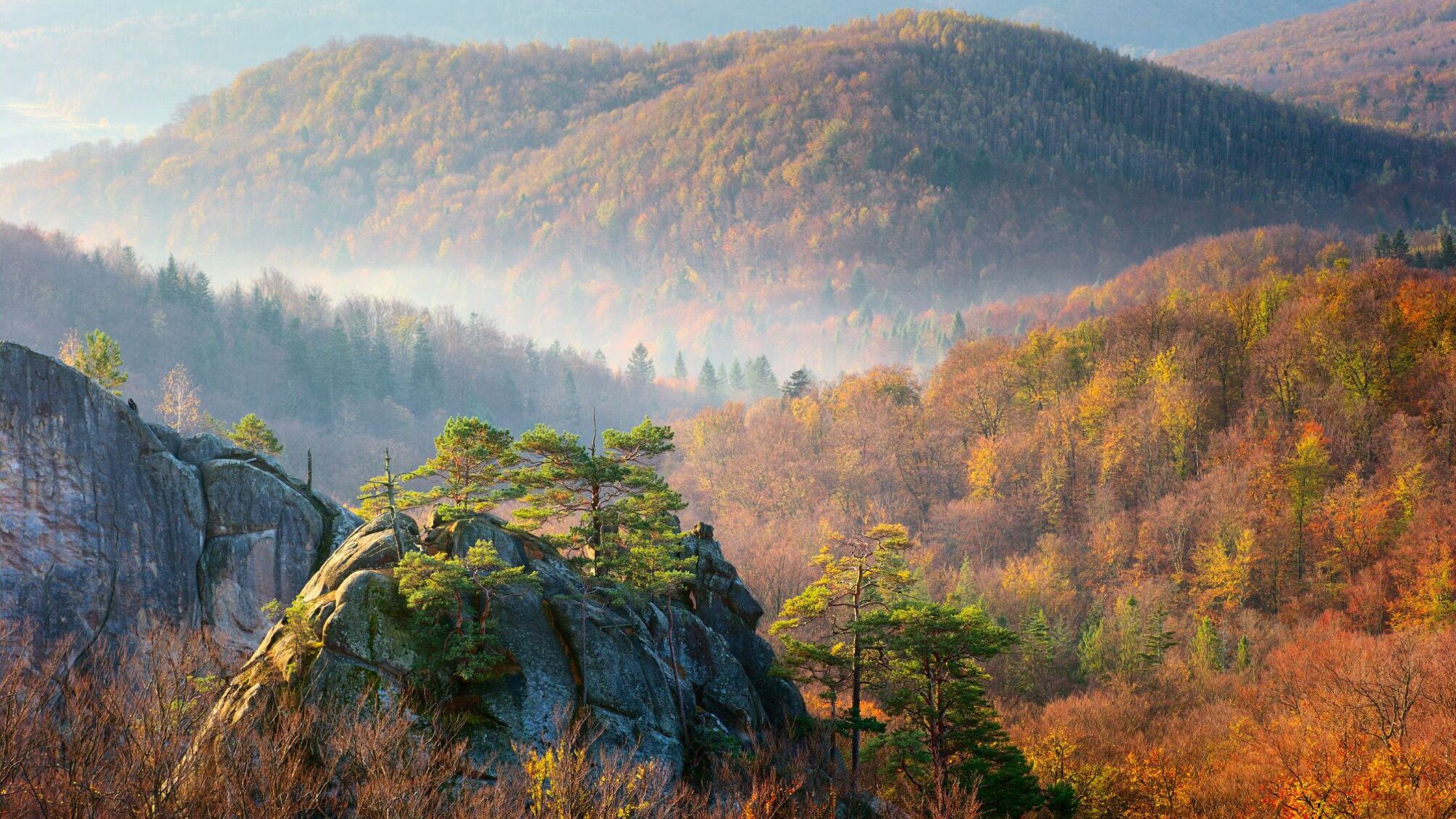 Скелі Довбуша