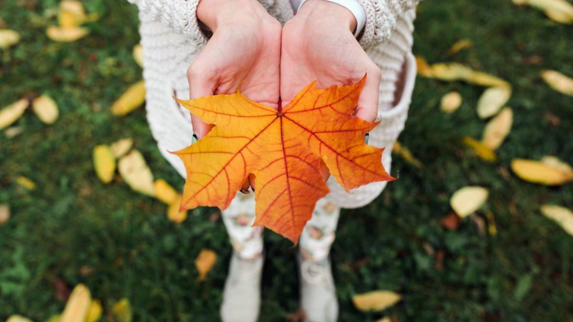 12 листопада в Україні: що святкують, кого вшановують і чого чекати від зими