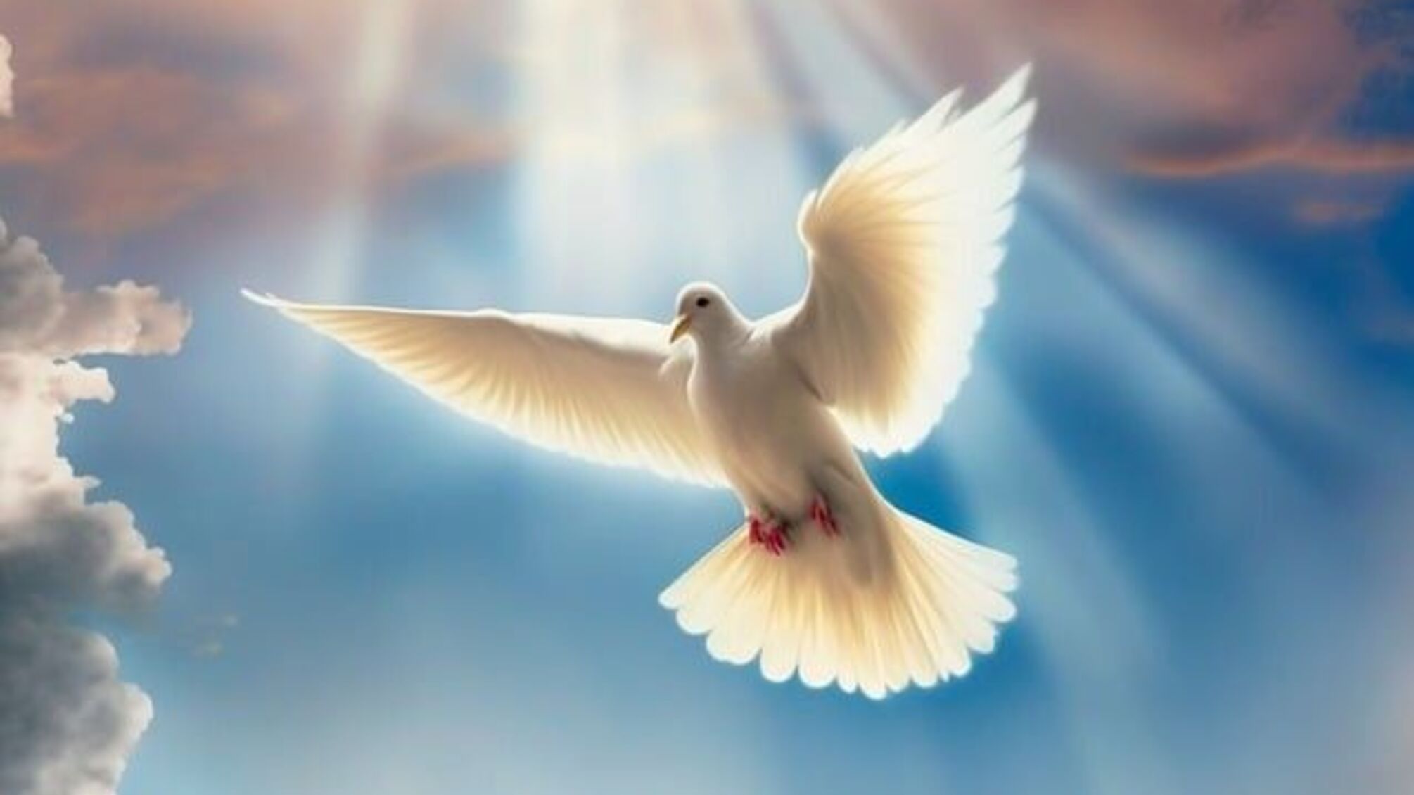 Праздник искренних поступков: Международный день доброты 13 ноября