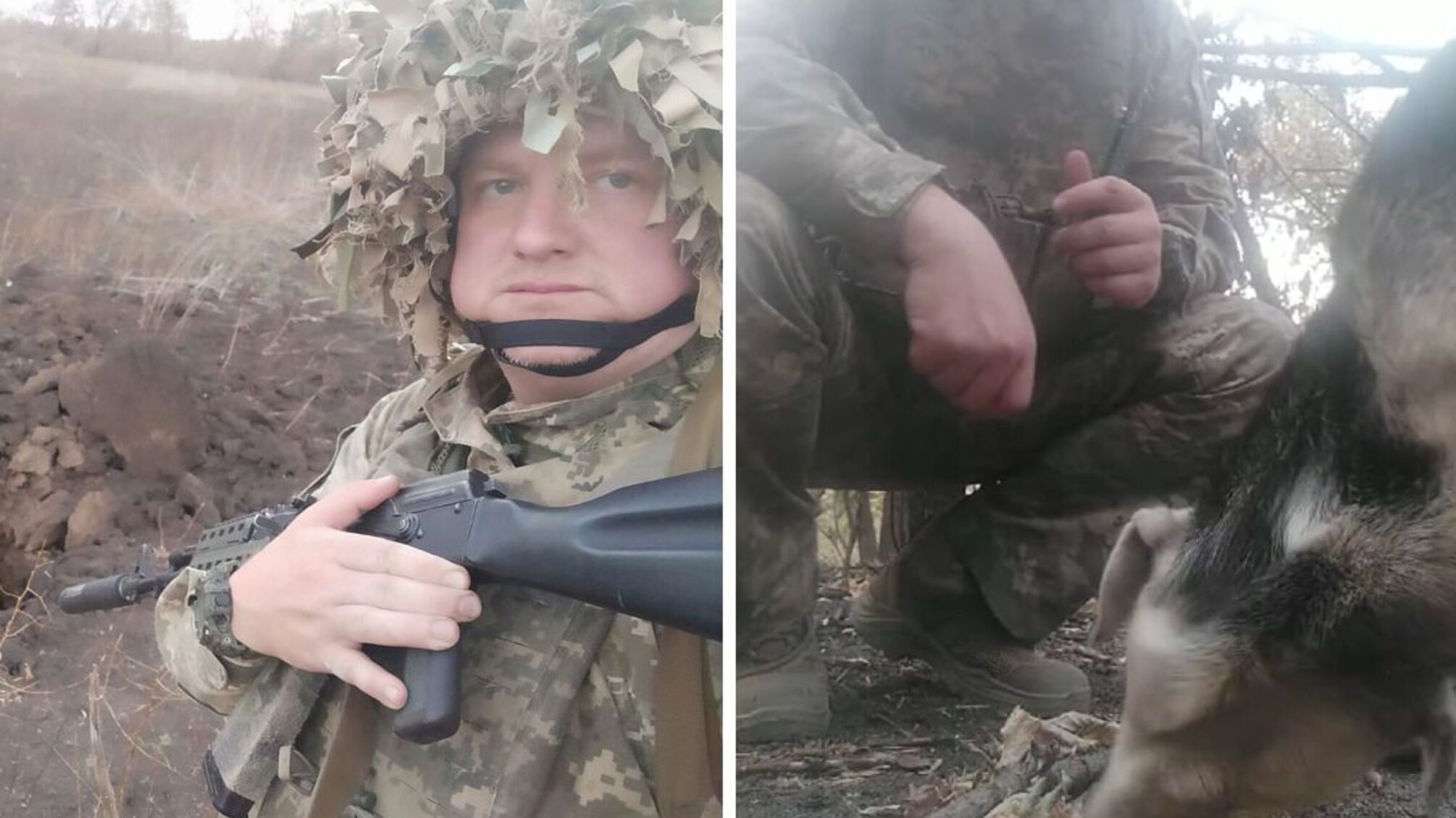 Бойцы кормят заброшенных животных