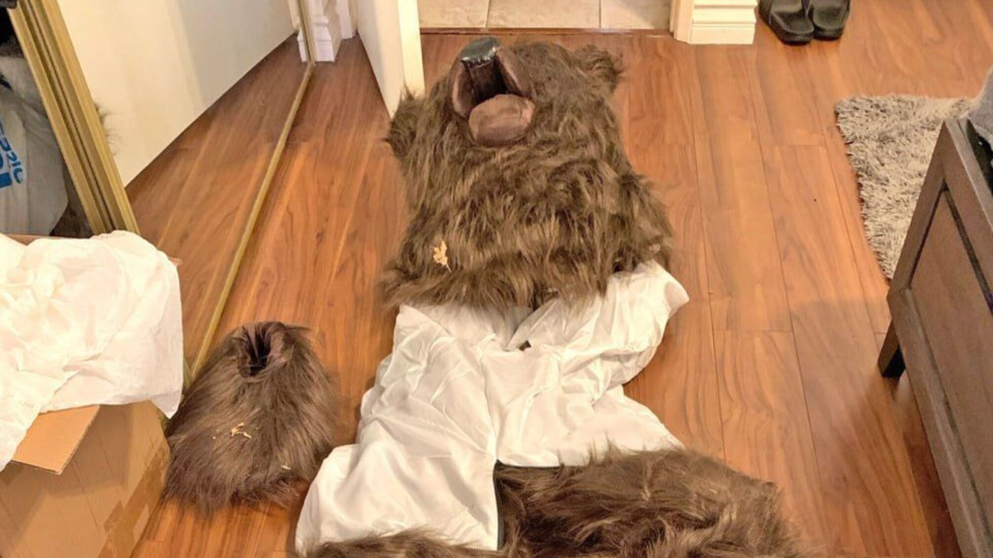 Афера з 'ведмежим нападом'