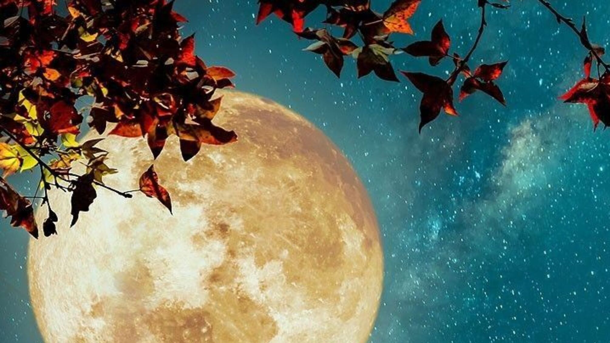 Листопадова повня у Тельці: як вплине на наші емоції та плани