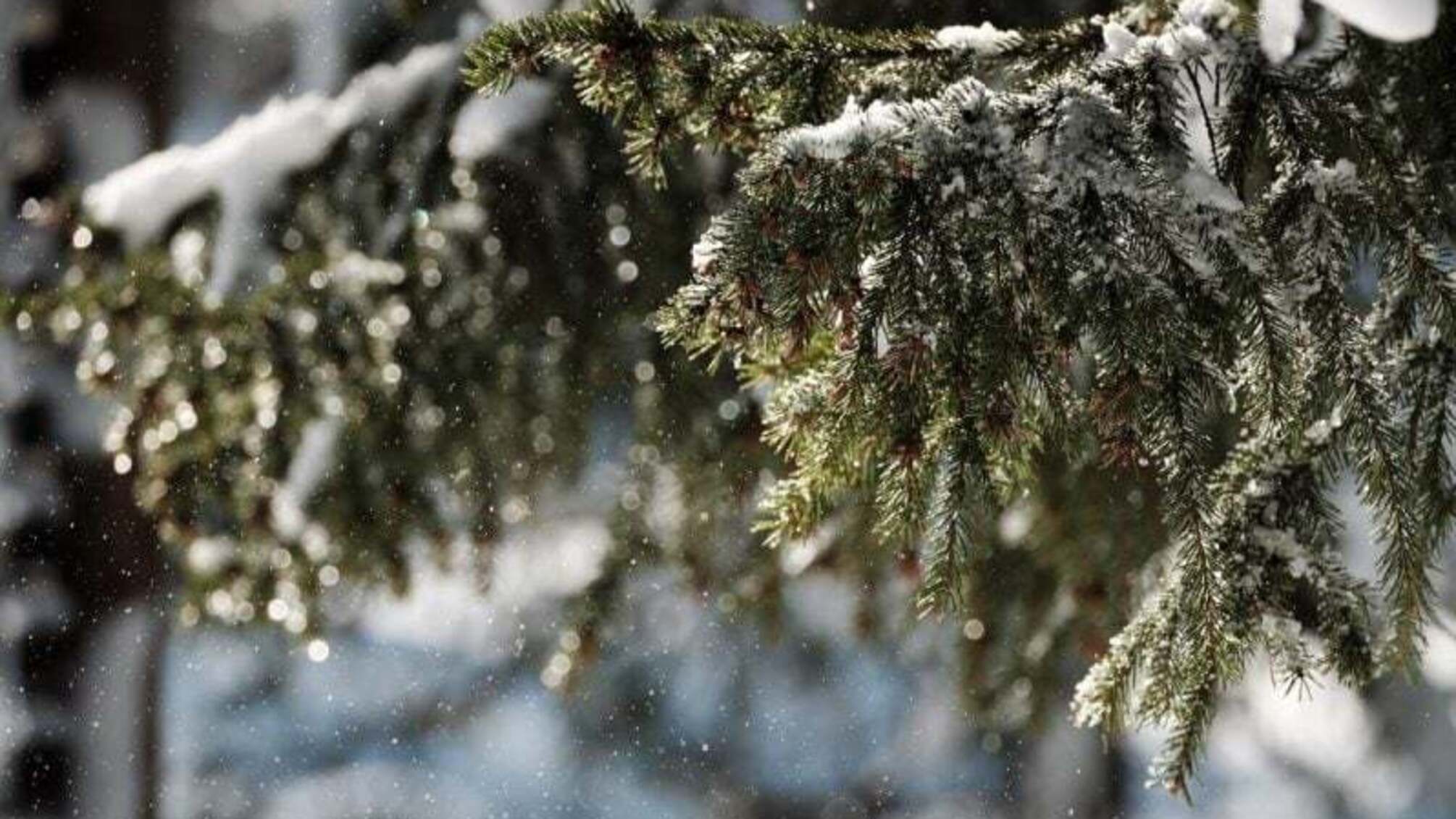 снегопад, погода