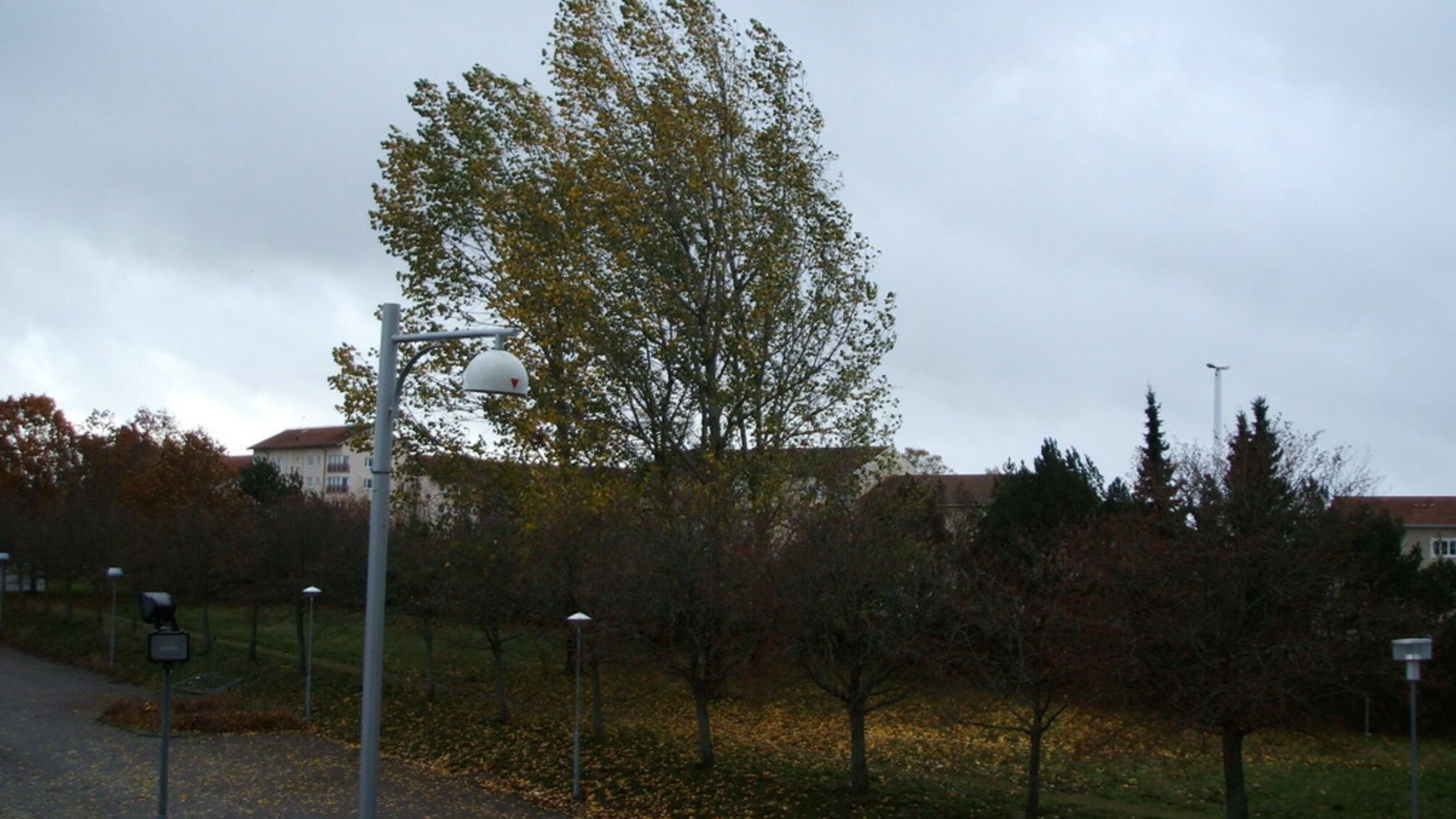 Трагедия в Киеве