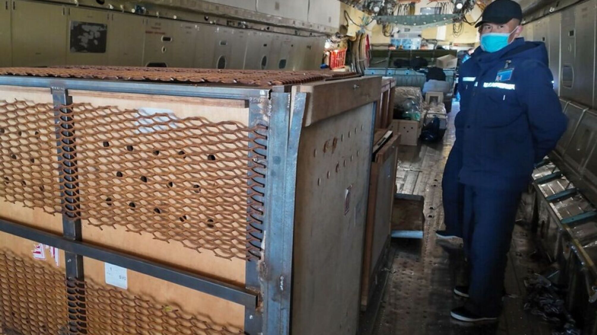 70 тварин із Московського зоопарку полетіли літаком у Північну Корею