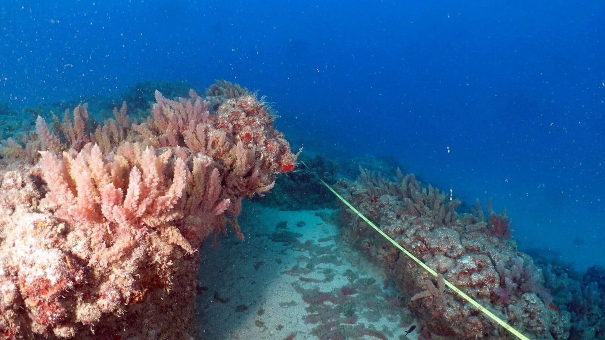 Ученые предполагают глобальные изменения
