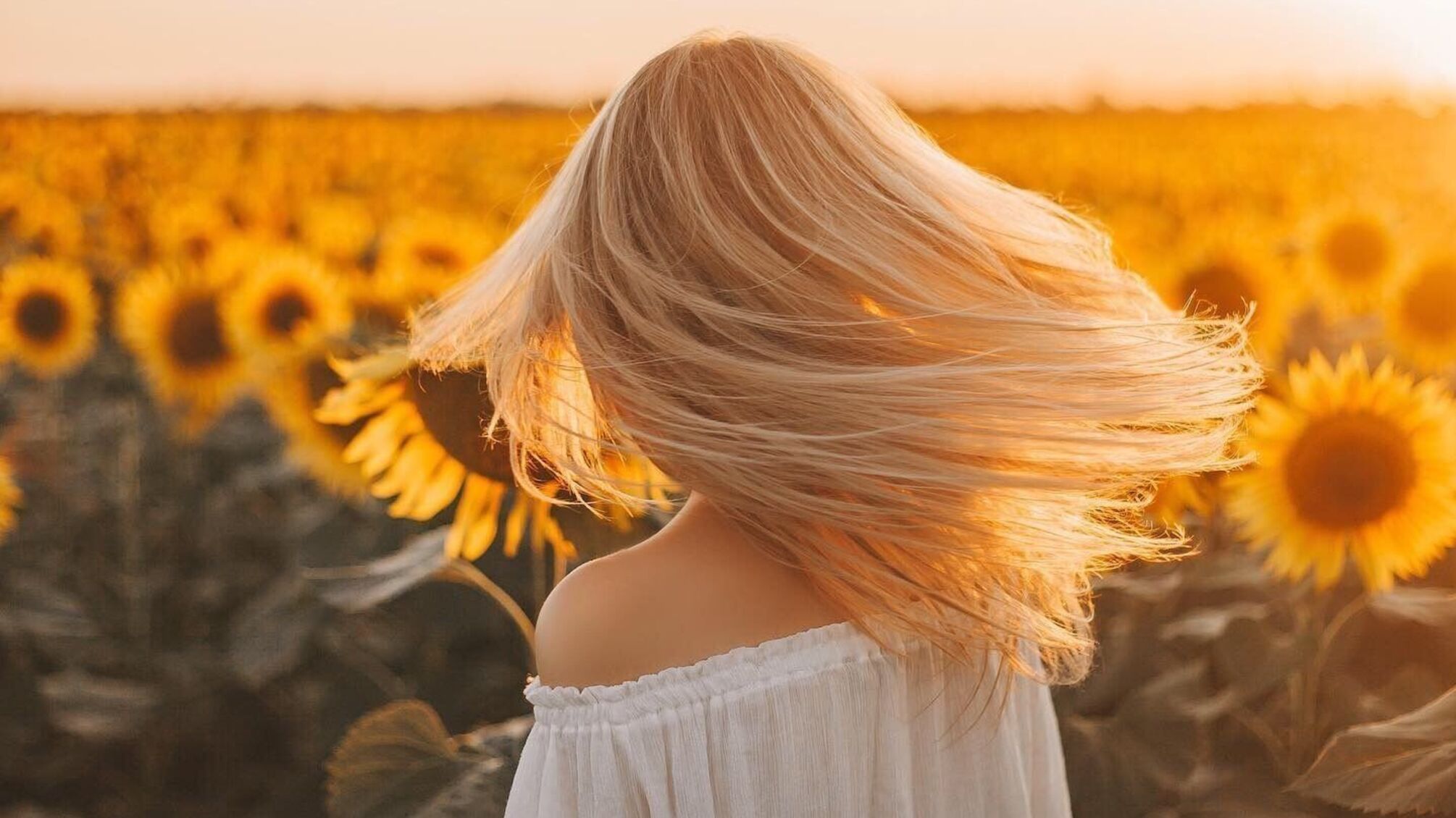 Науковці з Бостонського університету дослідили показники IQ майже трьох тисяч жінок