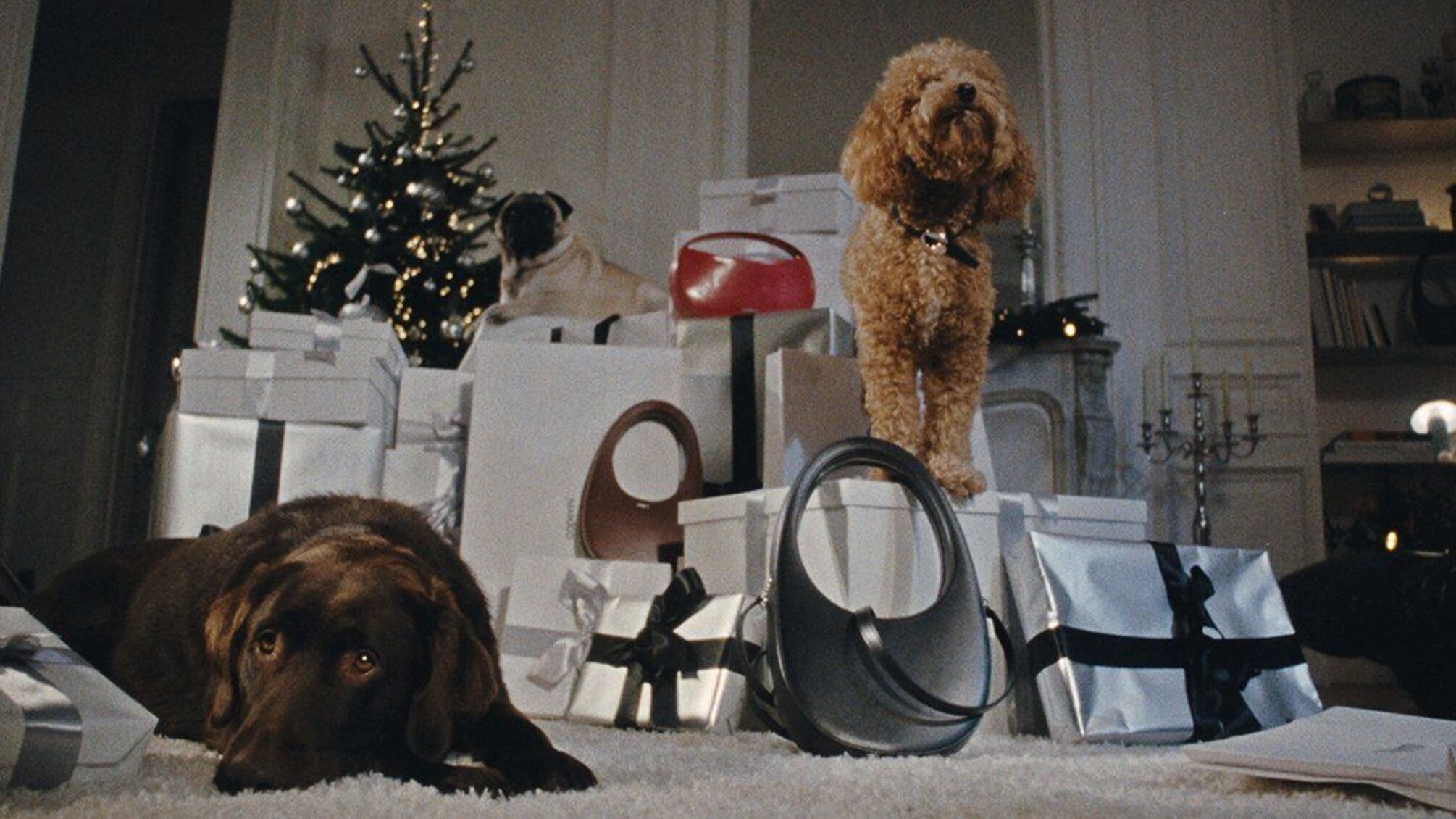 Coperni запускает новую праздничную кампанию с очаровательными домашними питомцами (фото)