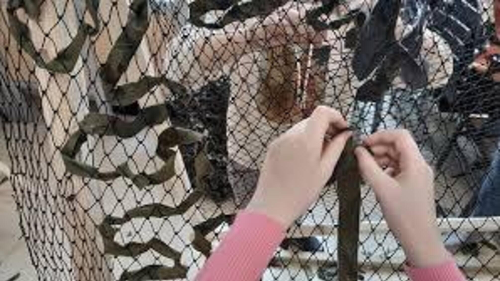 Операция 'Паутина': как рыболовные сети помогают ВСУ на фронте