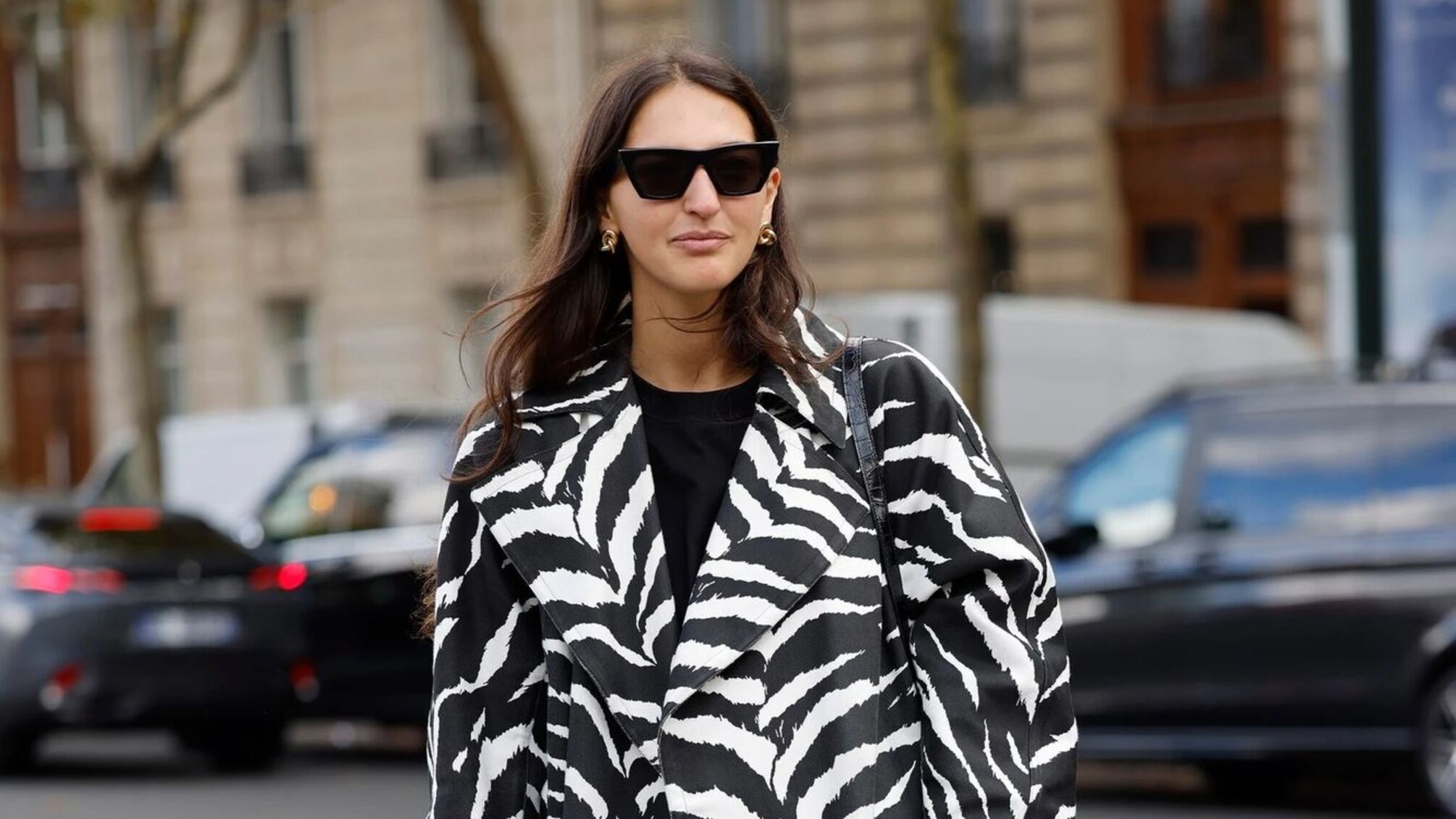 Зебровий принт