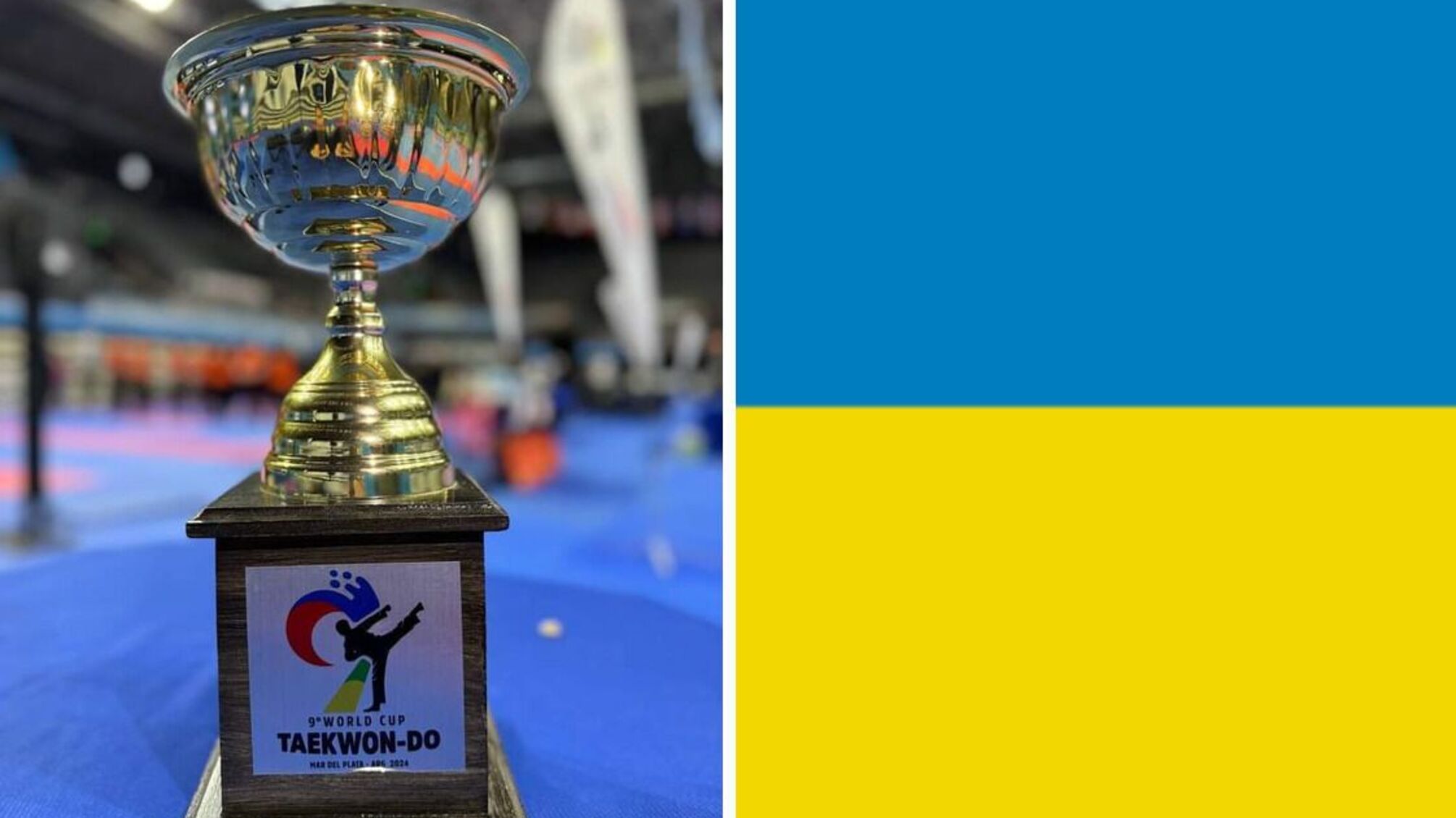 Здобутки України на Кубку світу з таеквон-До