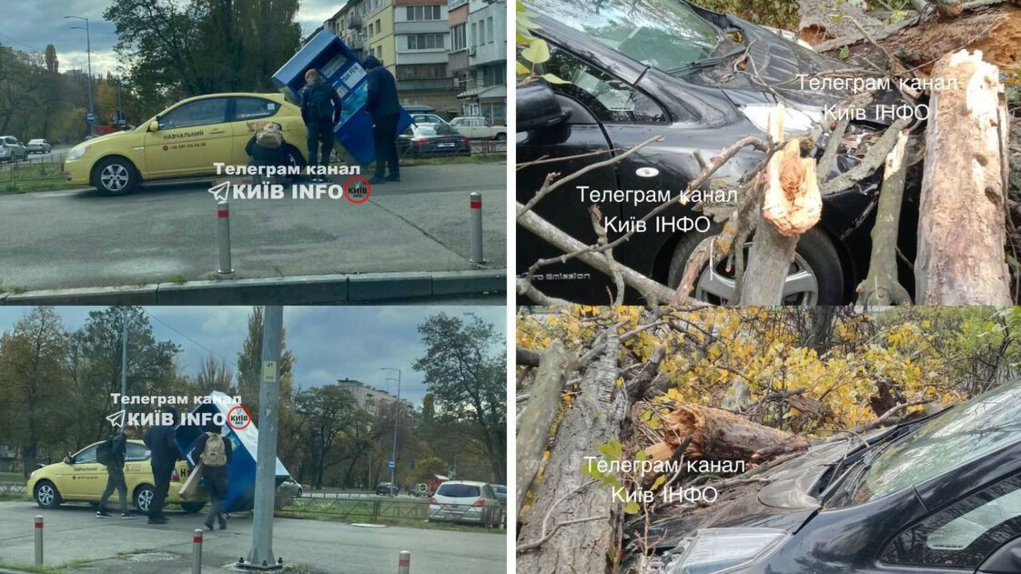 В столице и области сильные порывы ветра