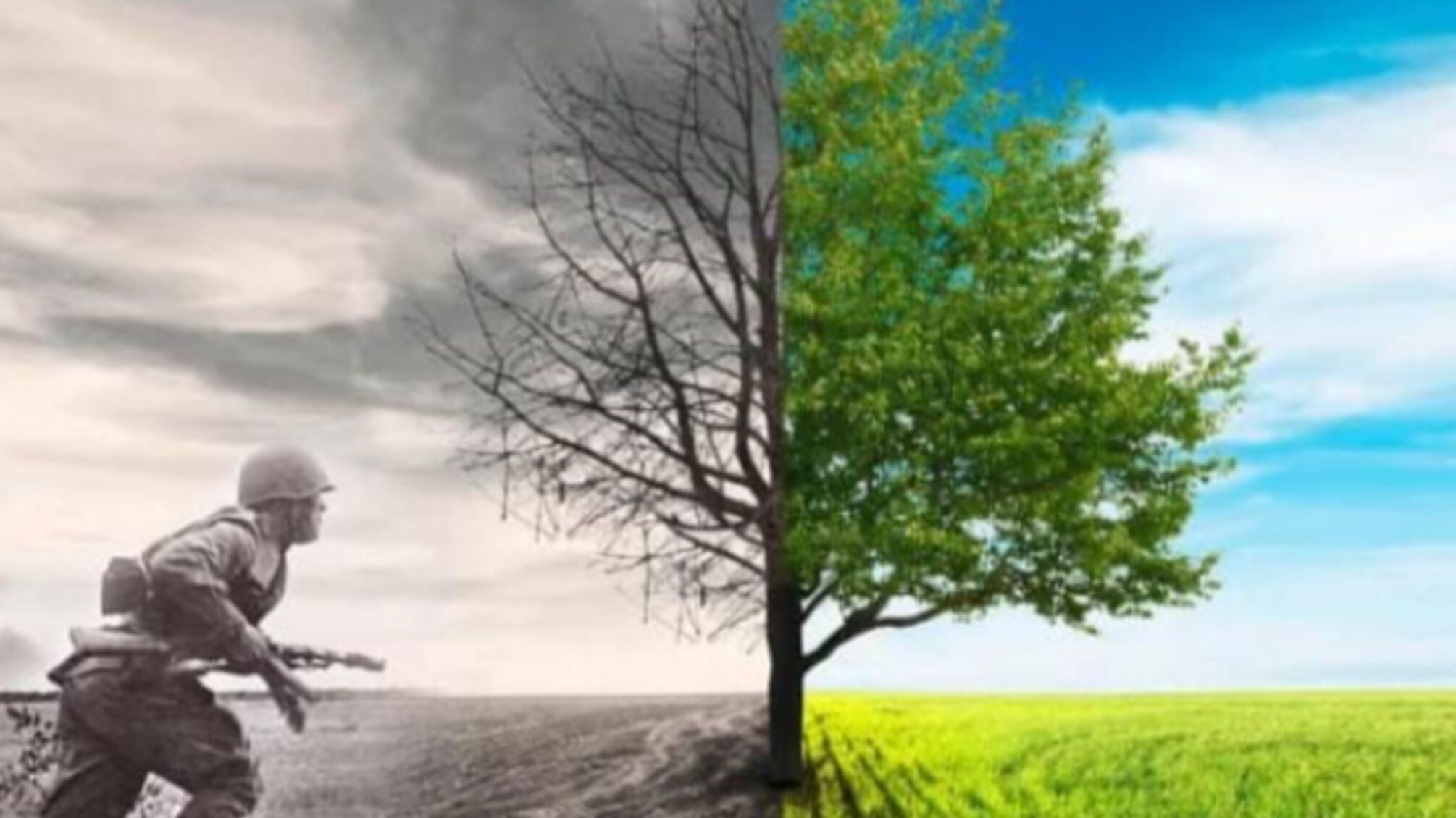 Міжнародний день захисту природи від наслідків війни: 6 листопада