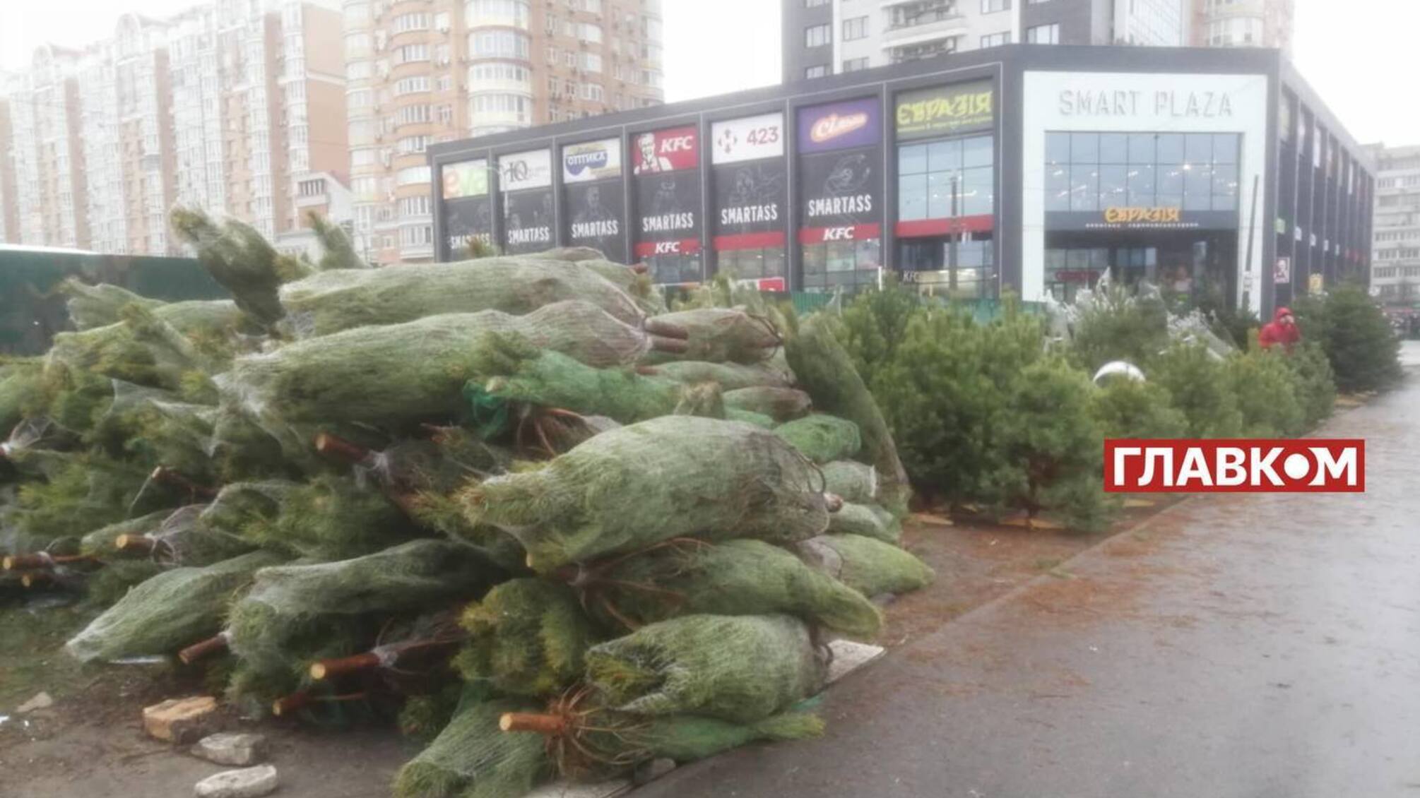 От 1200 до 4000 грн: стоимость елок в столице