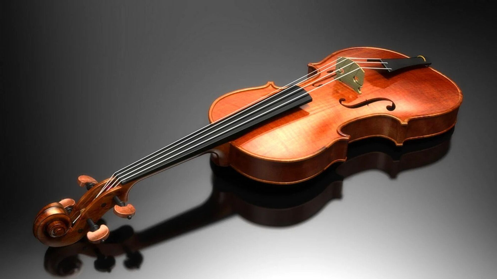 Міжнародний день скрипки 13 грудня: історія та значення свята