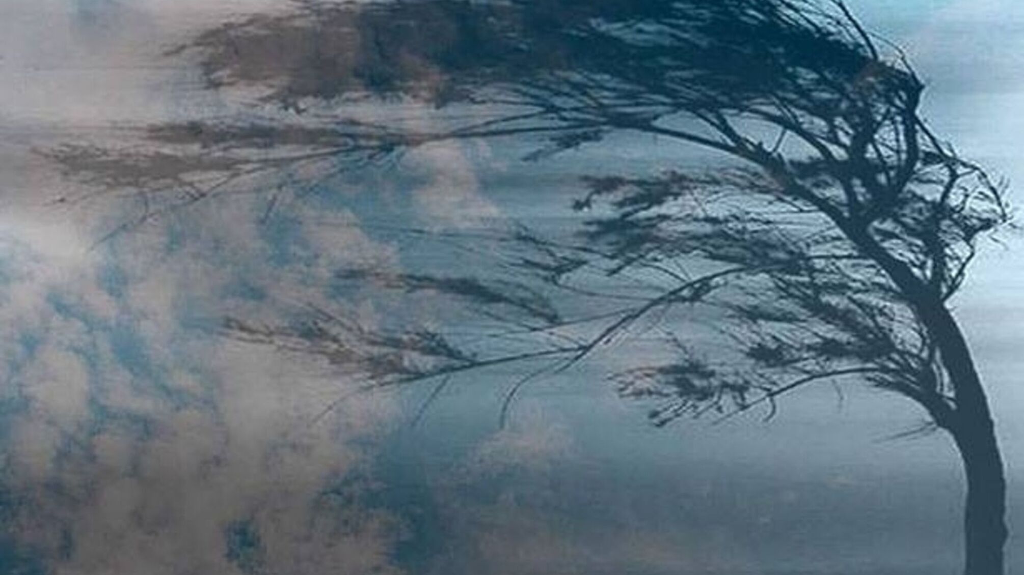 В Украине на 17 декабря объявили повышенный уровень опасности