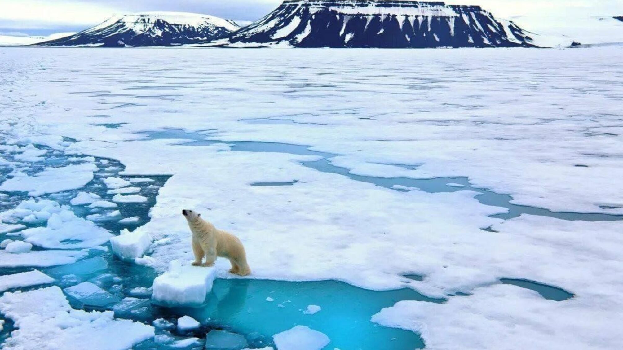 Арктика потеряет ледяной покров уже через три года, - ученые