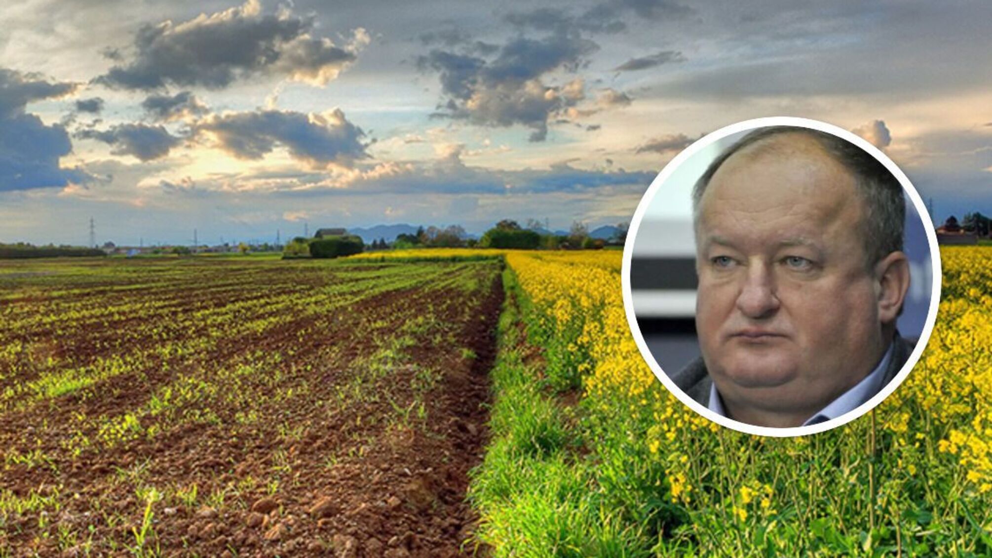 Ученый или латифундист: какое состояние декларирует вице-президент НАН Рафальский?