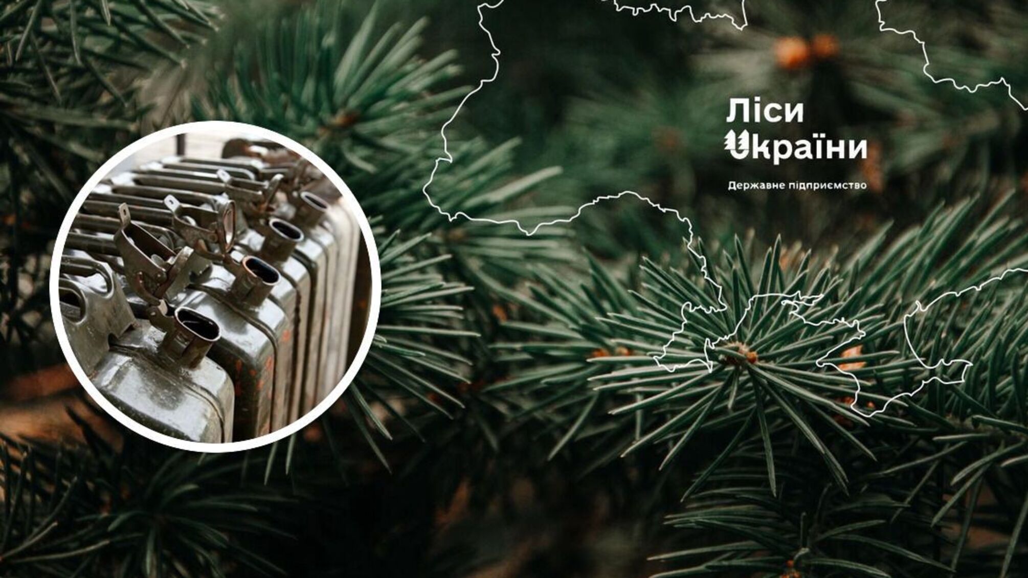 48,24 грн за литр дизеля: скандальный тендер «Лесов Украины»