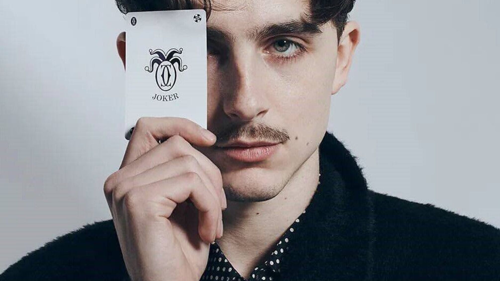 Тимоти Шаламе исполняется 29: подборка фильмов, которые стоит пересмотреть