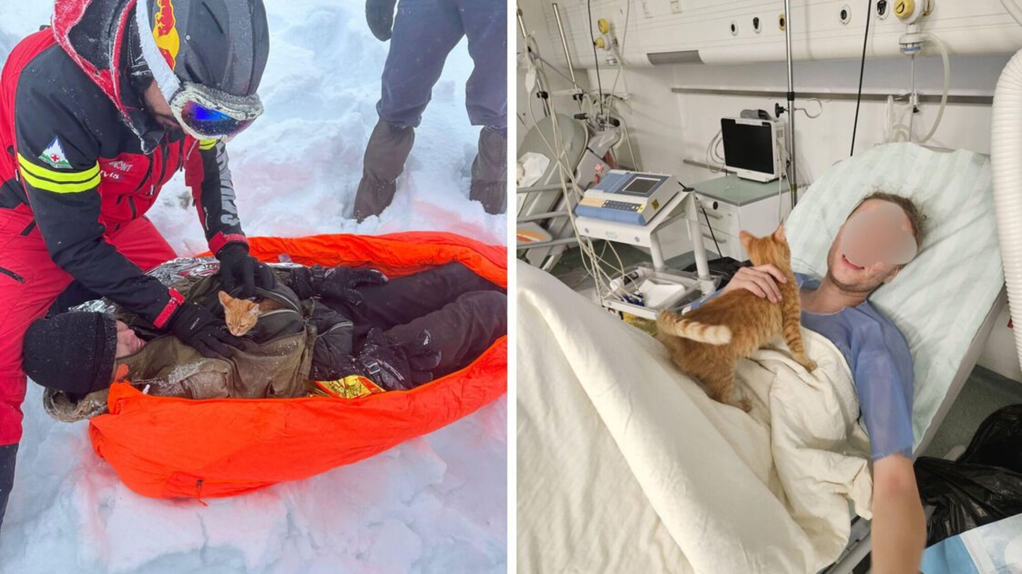 Кіт врятував життя українця