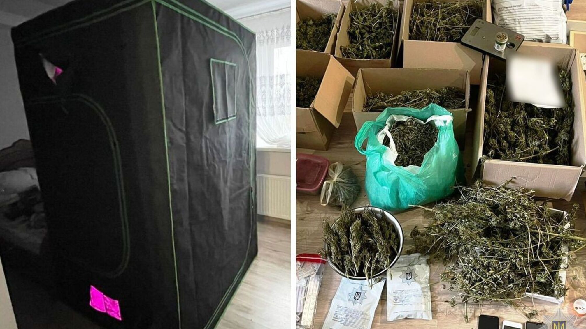 На Вінниччині чоловік вирощував у себе вдома наркотичну траву