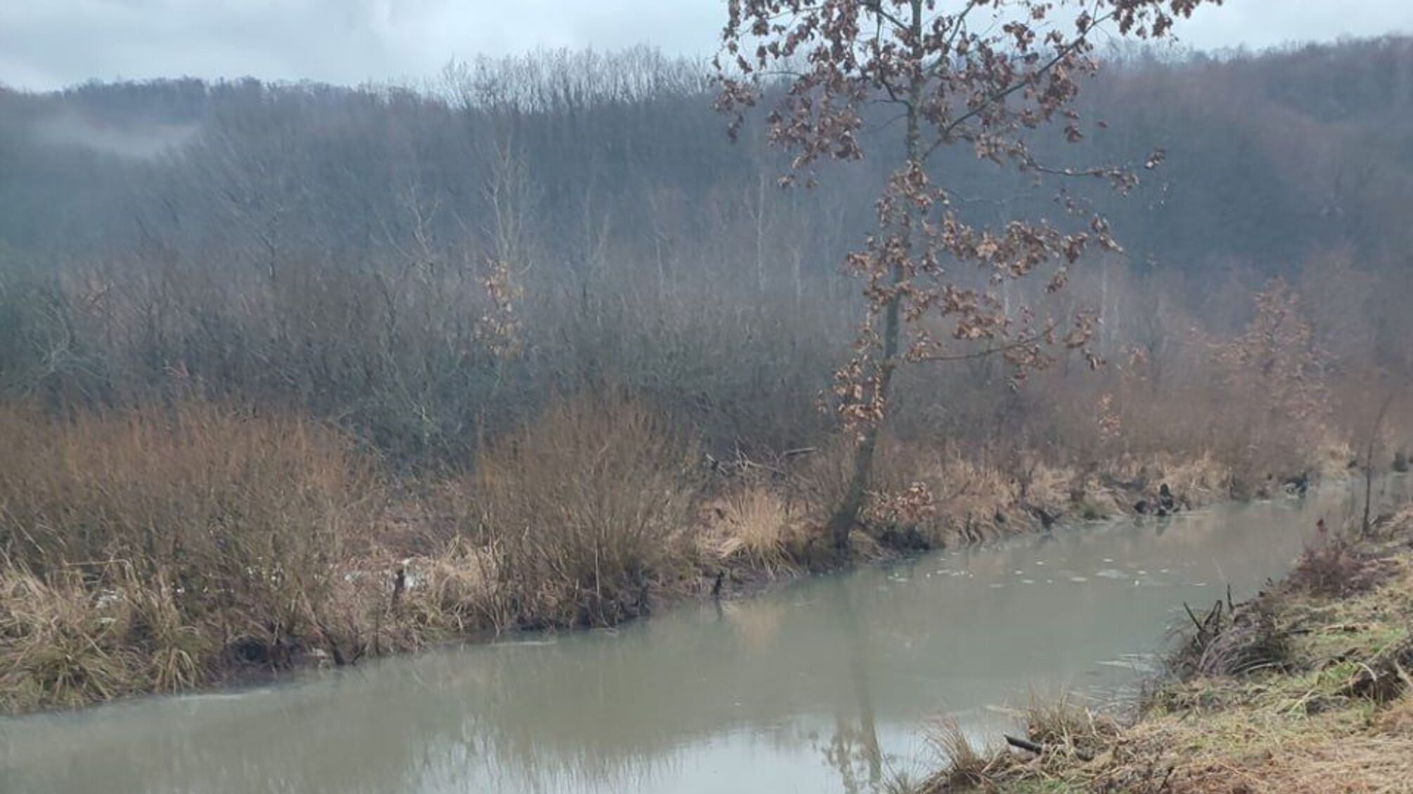 Еколихо у Чинадієві: на Закарпатті ДЕІ зафіксувала забруднення річки нафтопродуктами (фото)