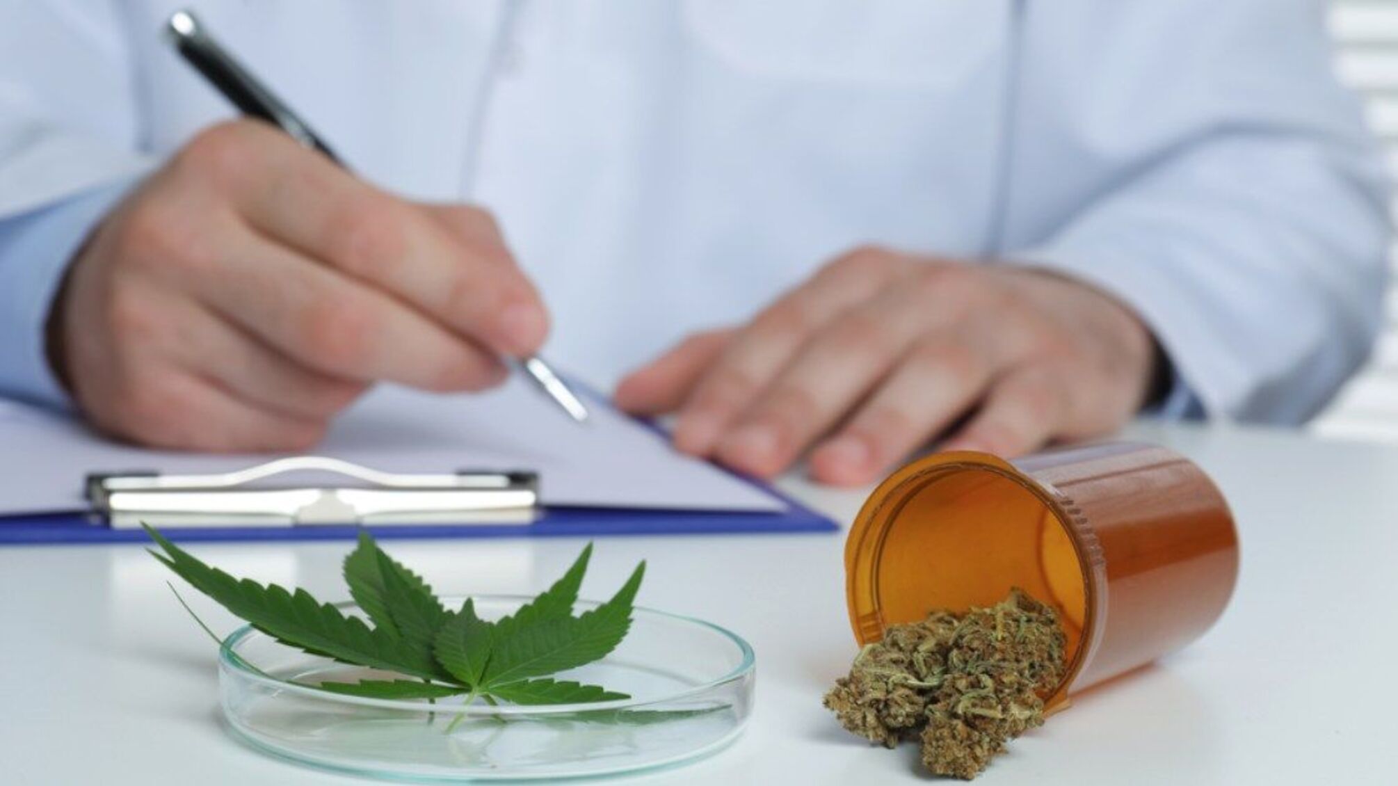 Зеленський підписав закон про легалізацію медичного канабісу в Україні