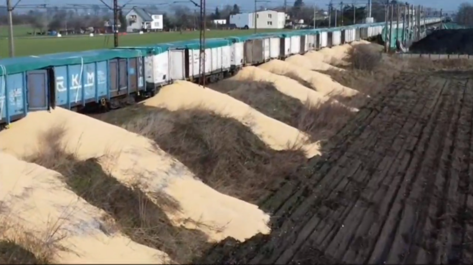 В Польше неизвестные высыпали на землю 8 вагонов украинской кукурузы