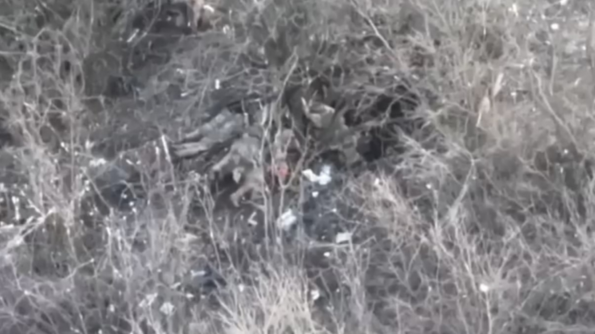 Росіяни розстріляли ще дев'ятох українських полонених, - DeepState 