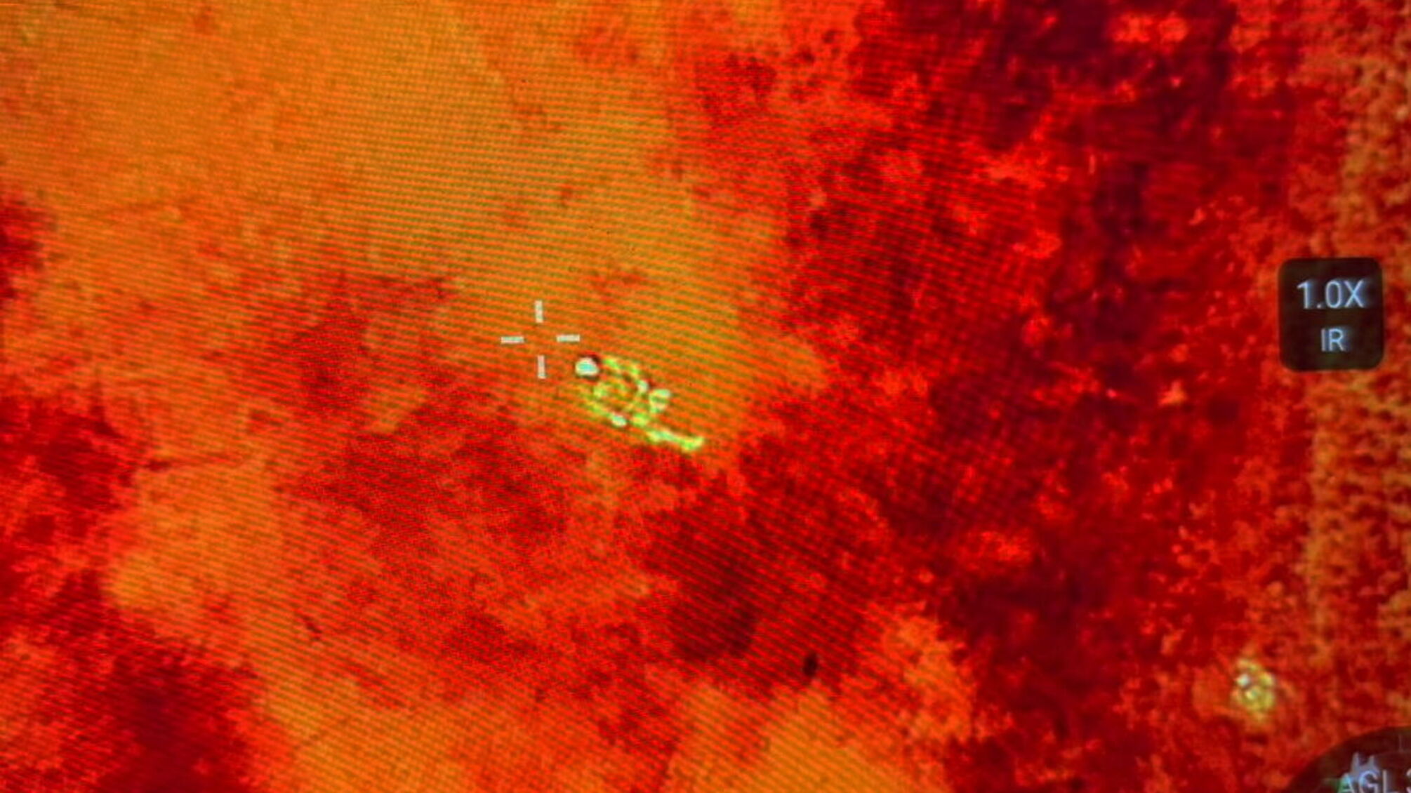 группу «туристов» задержали пограничники на границе с Румынией