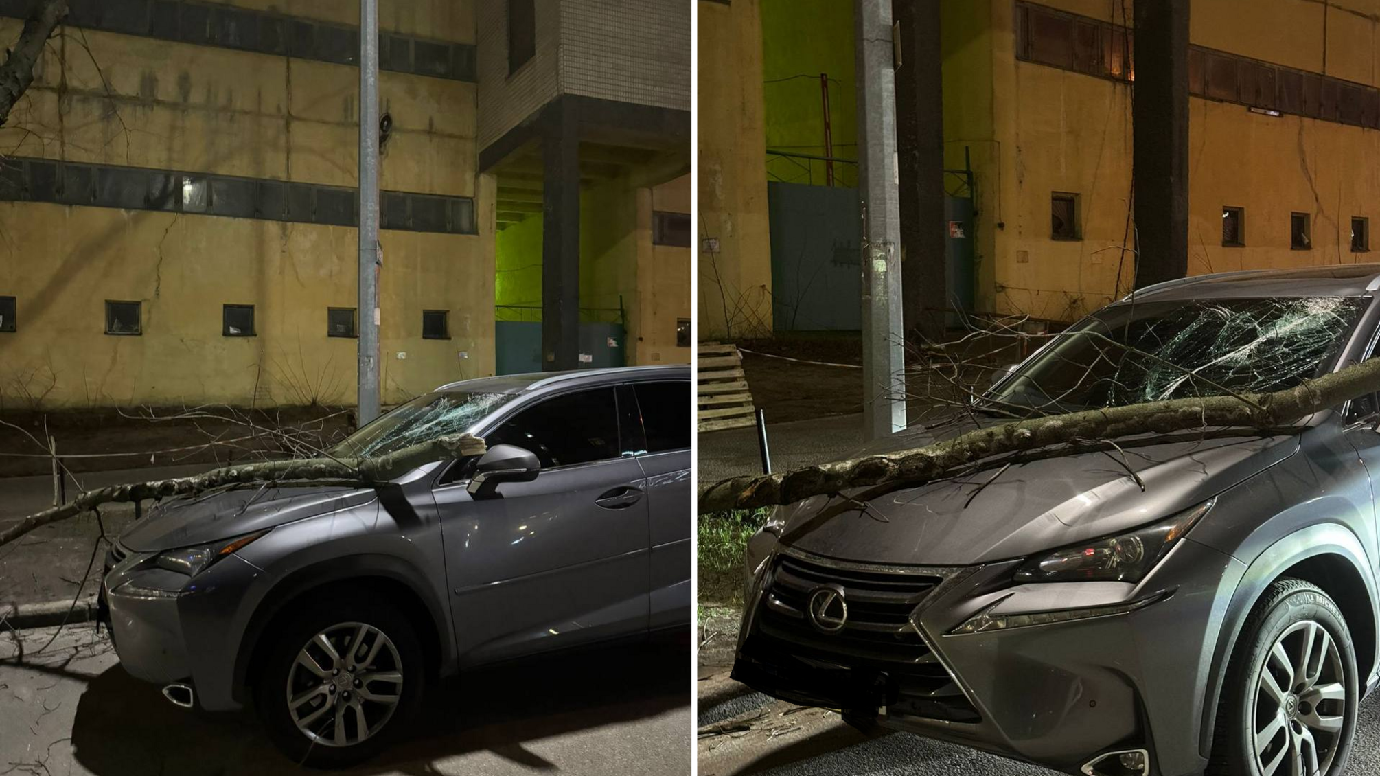 Дерево впало на Лексус