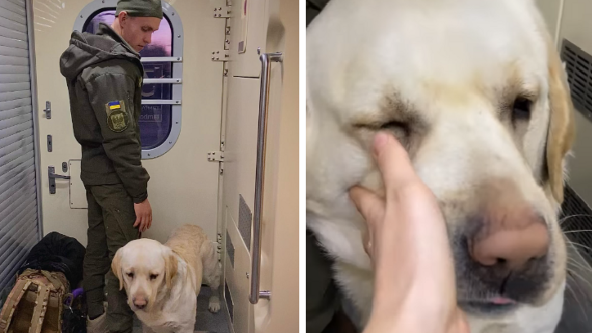 Укрзализныця скандал