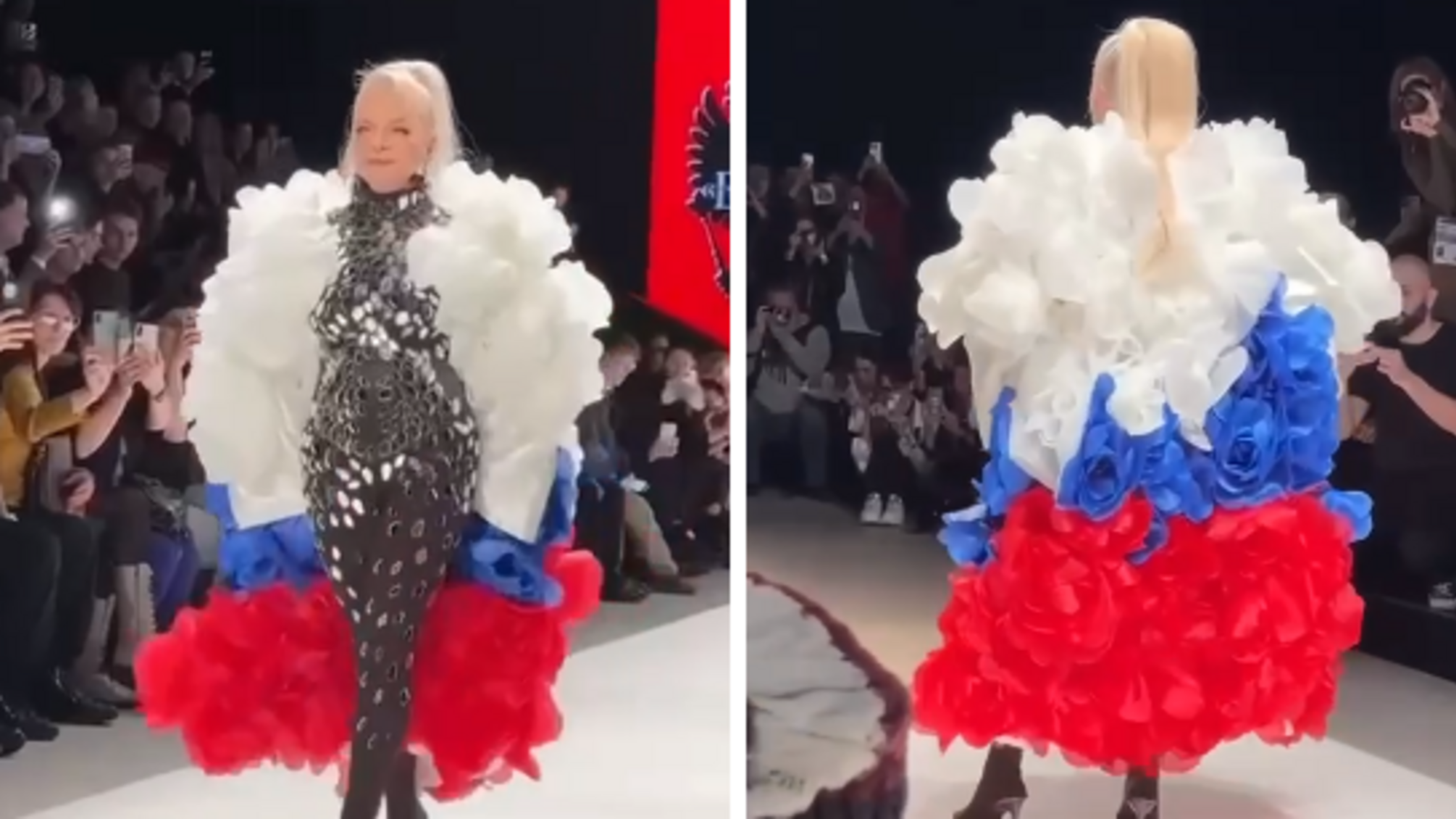 Лариса Доліна