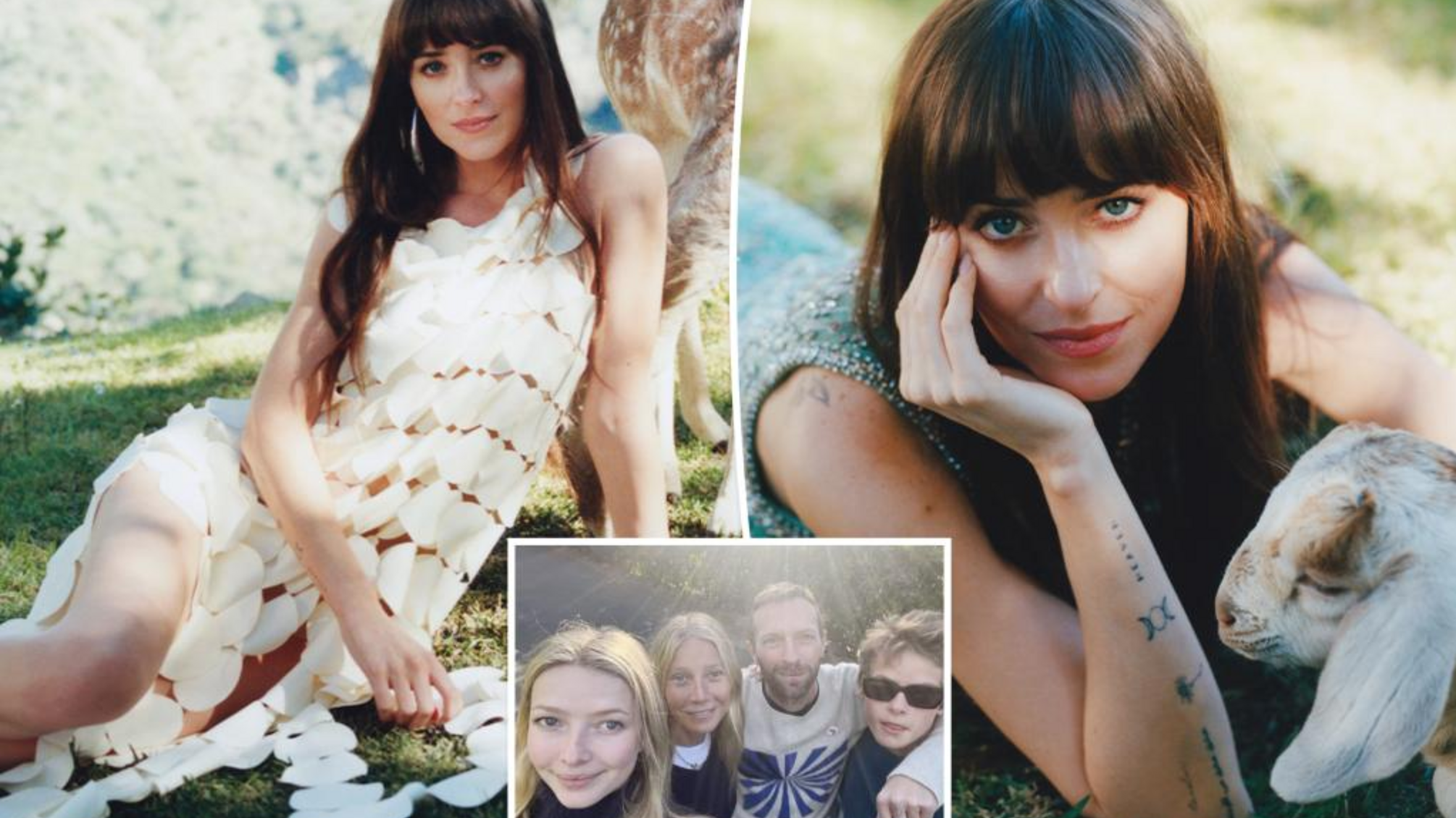 Дакота Джонсон, Кріс Мартін, Гвінет Пелтроу