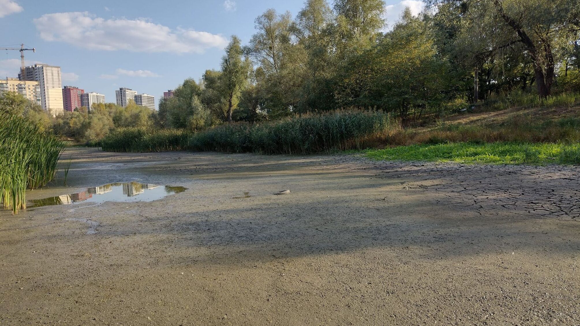 В Киеве на Виноградаре от озера осталась только сырая земля