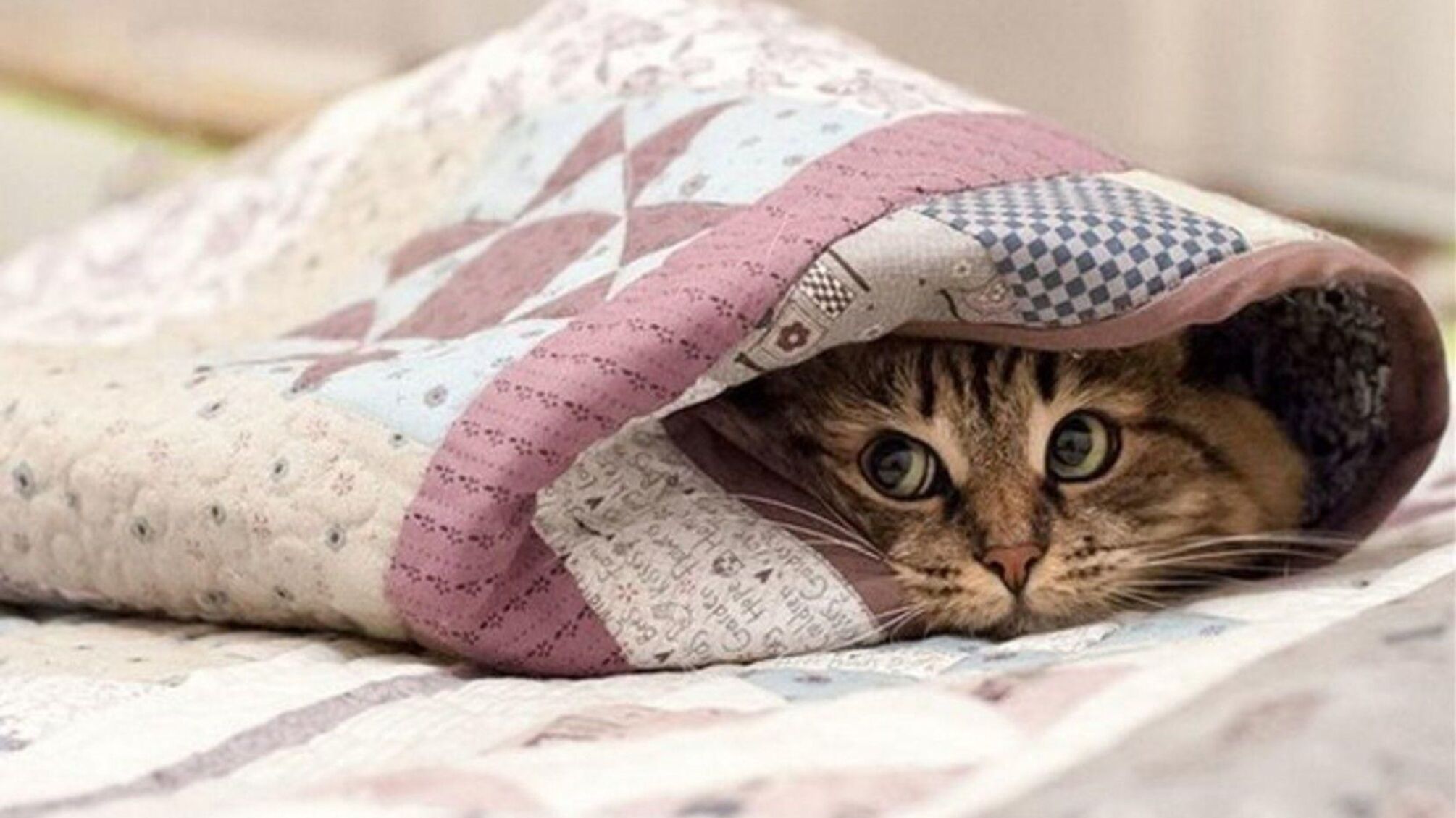 Квітневе літо закінчується: в Україну йде морозний циклон