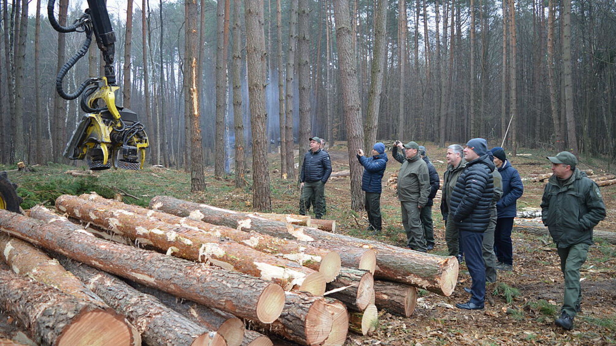 В Ровенской области государственный лесхоз приобрел автомобиль для руководителя за 1,5 млн грн