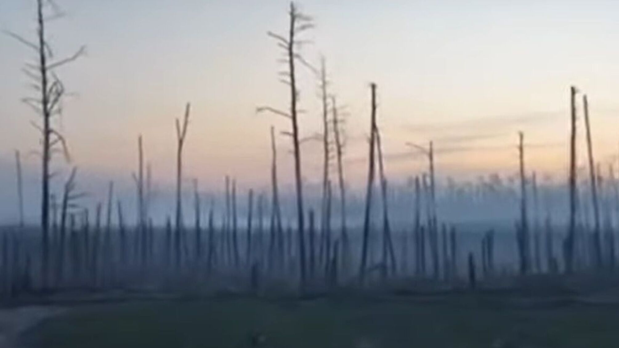 Серебрянский лес опустошен после интенсивных боев