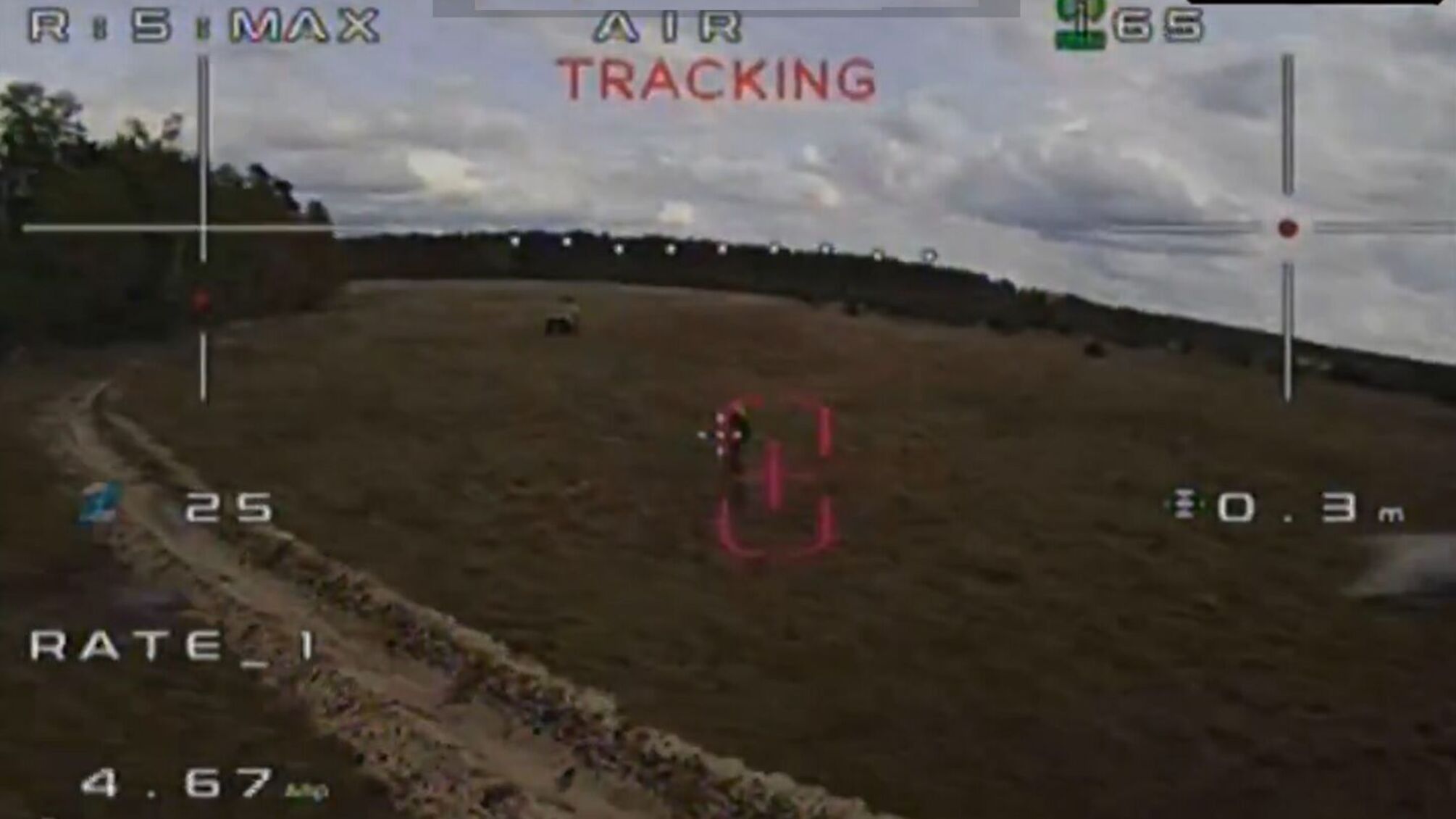 Wild Hornets тестує 'розумні' дрони з українською електронікою та нейромережею