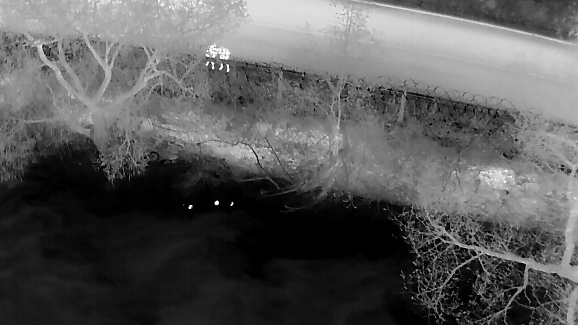 Прикордонник врятував ухилянта